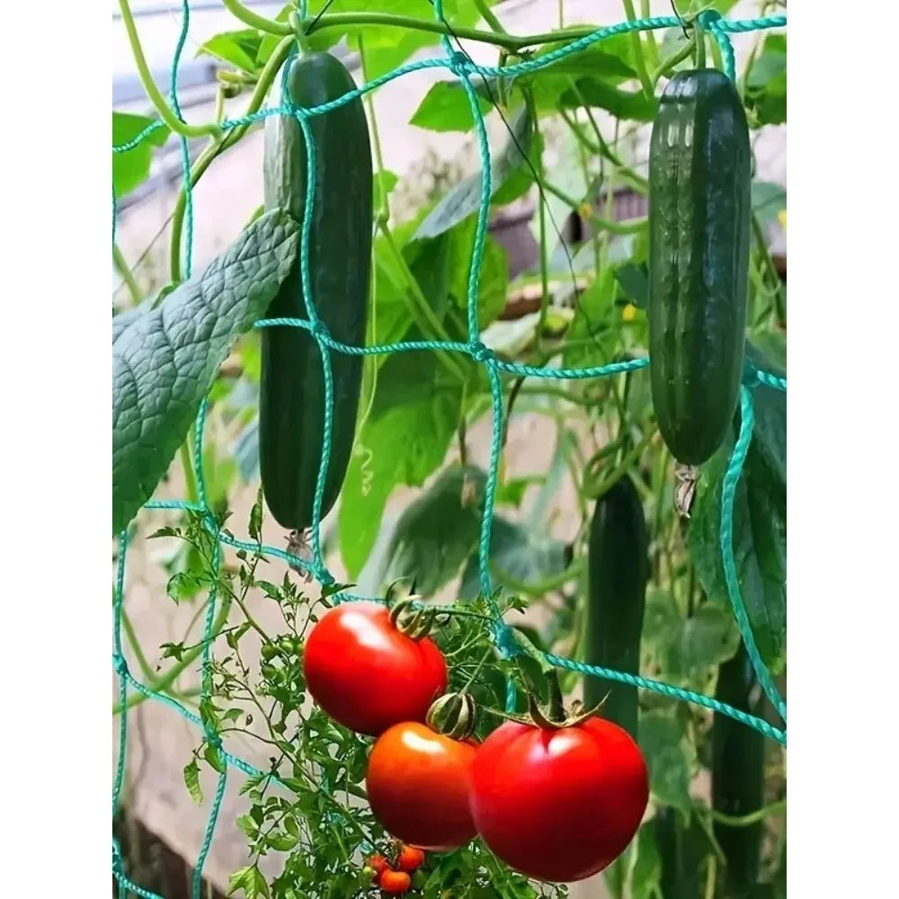 NEW Hi-quality Nylon  Loofah Morning Vine Plants Climbing  Vine Grow Holder Brackets