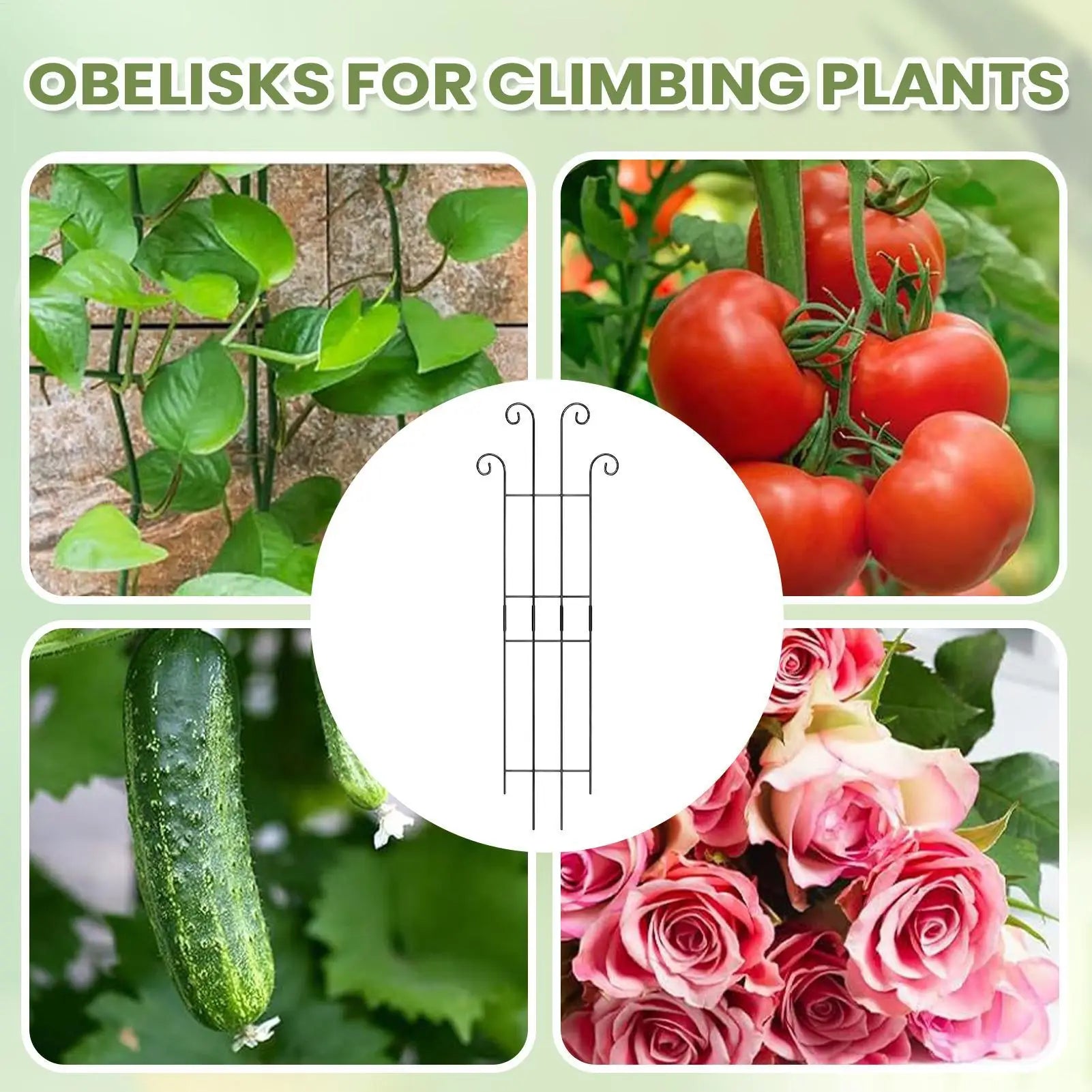 Metal Plant Trellis Indoor Outdoor Vertical Garden Support for Monstera Tomato Vine Ivy Plant Pot Climbing Growth Stake
