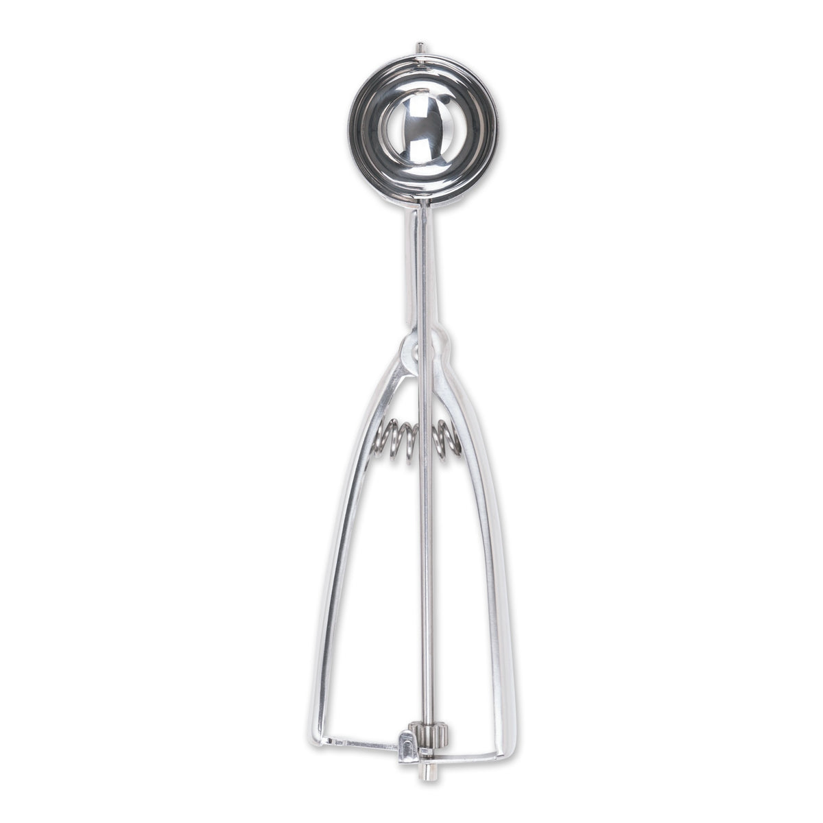 40 Spring Scoop