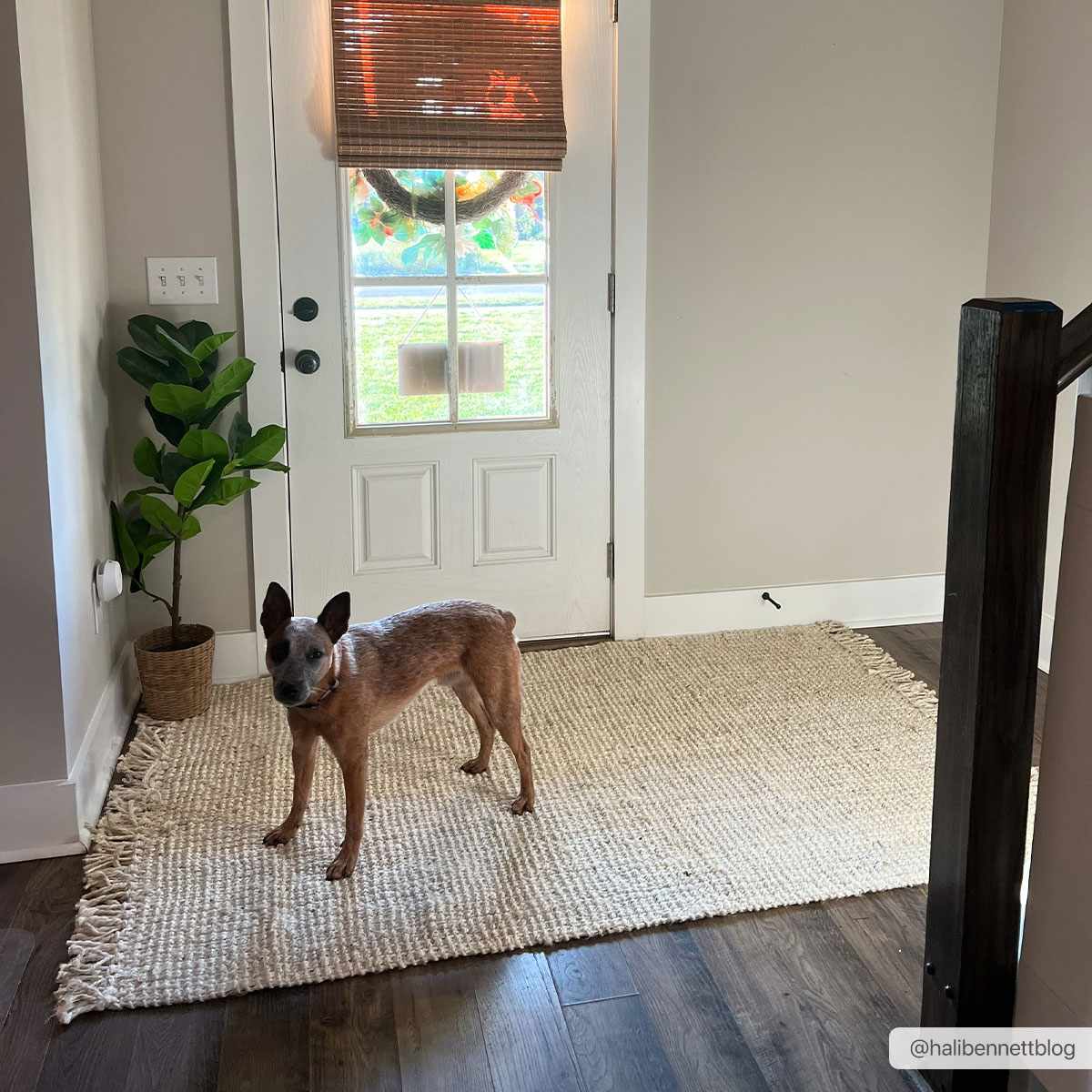 Senneterre Jute Runner Rug