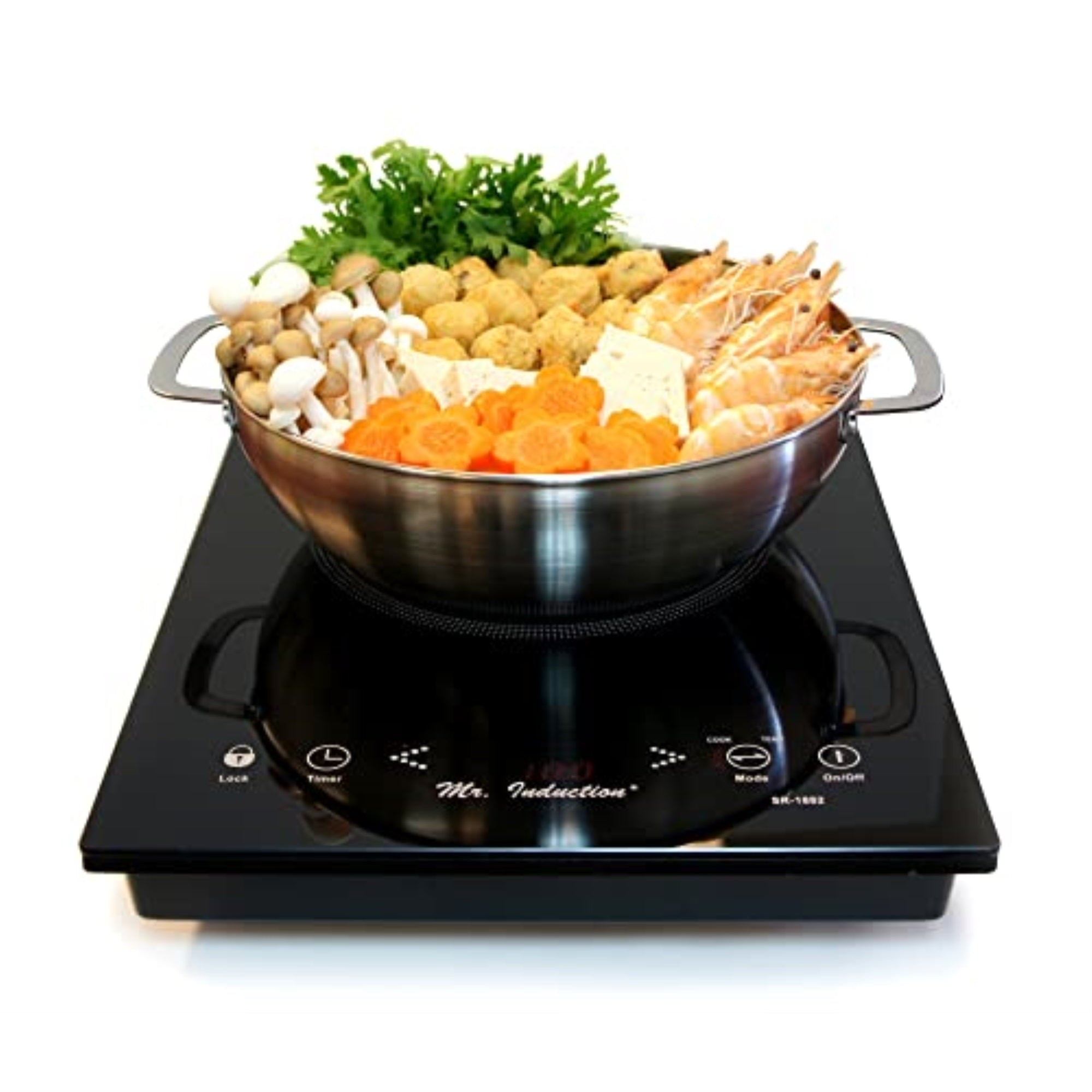 1650W Induction In Black (Built-In/Countertop) + Pot Combo