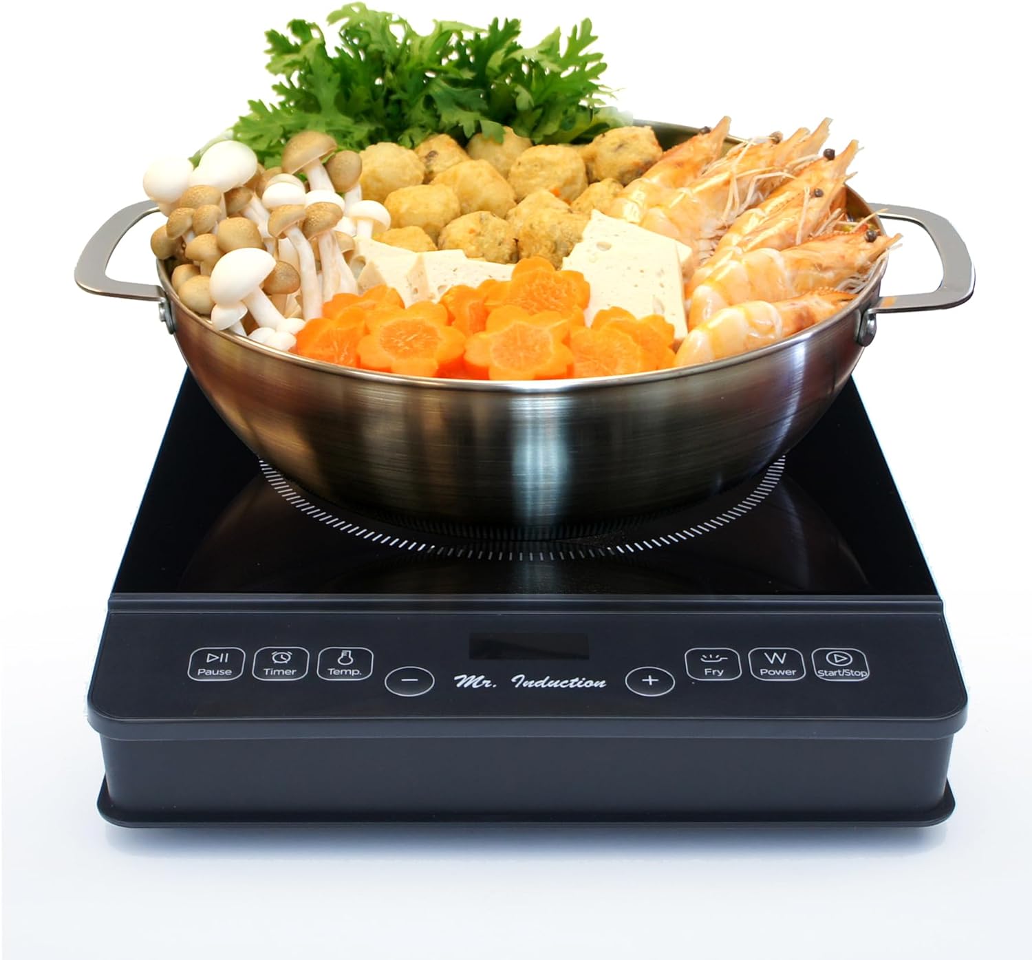 1800W Induction Cooktop + Stainless Steel Pot