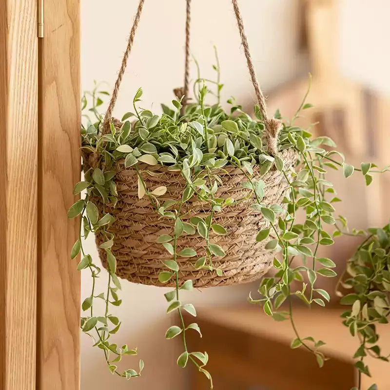 Hanging Seagrass Planter Basket