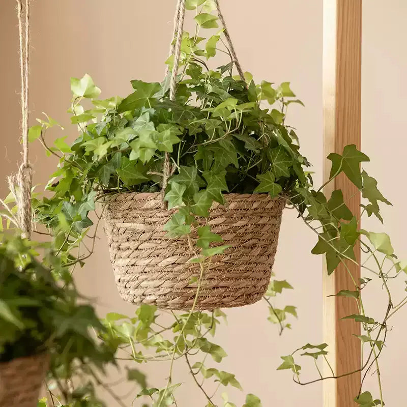 Hanging Seagrass Planter Basket