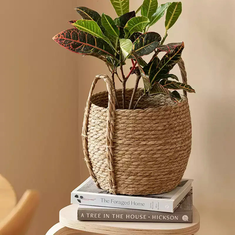 Meadow Woven Storage Basket