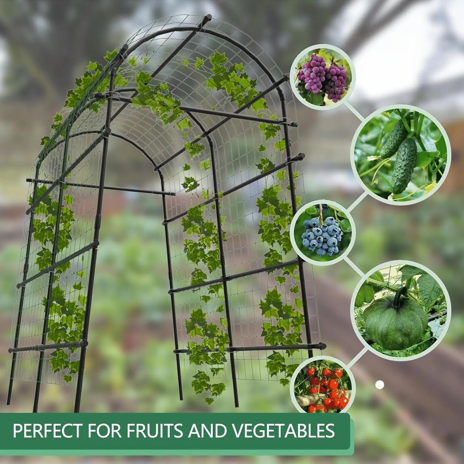 Garden Arch Trellis, 7.5FT Extra Tall Polyethylene-Coated Stainless Steel Garden Trellis for Cucumbers, Melons, Vegetables, Peas, Tomatoes & Climbing Vegetables, Outdoor Rust-Resistant Trellis