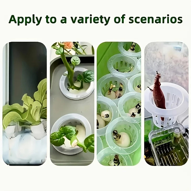 10pcs Hydroponic Seedling Basket Set (Includes 10 Planting Baskets + 10 Seedling Sponges)|Seed Stabilization to Prevent Drifting
