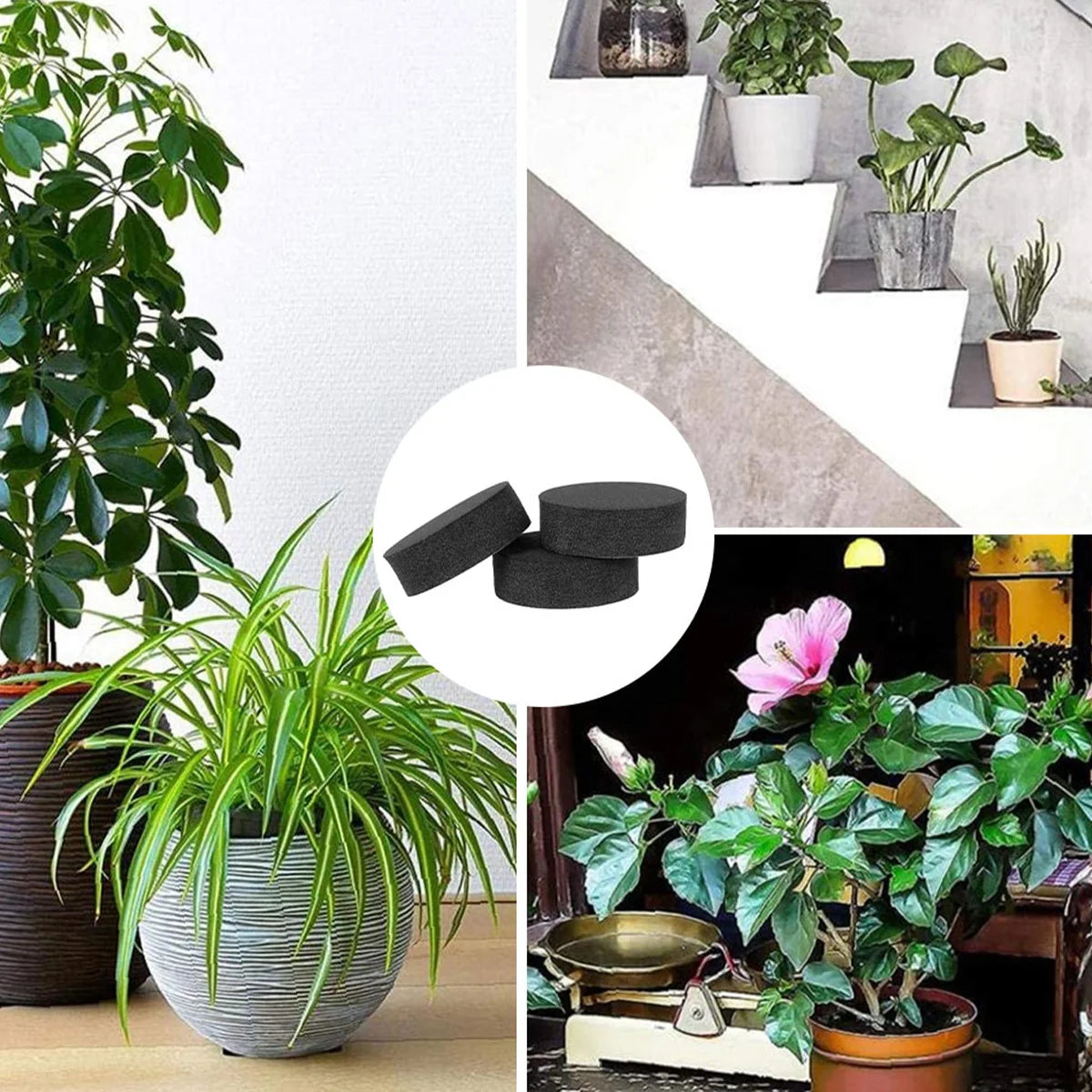 40PCS Pot Feet Risers Plant Riser Invisible Pot Feet for Indoor/Outdoor Planters Adhesive Pad Plant Pot Feet for Outdoor Planter