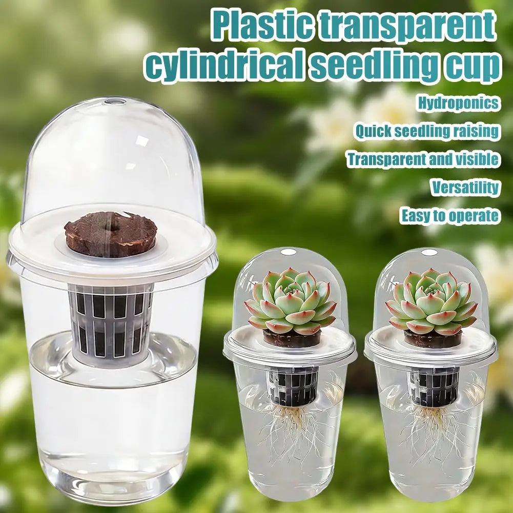Plant Vegetable Seedling Hydroponic Planting Cup Transparent Plastic Flowerpot Visible Root System For Greenhouse Germination