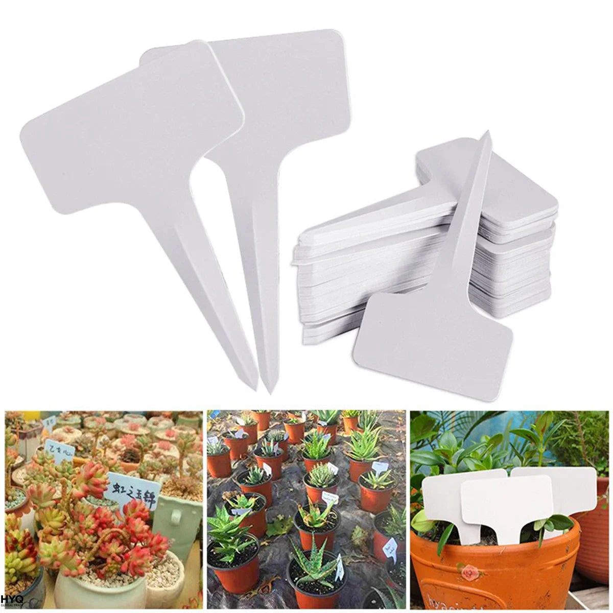 Étiquettes de jardin blanches 100 pièces, en plastique étanche, enfichable pour classification plantes