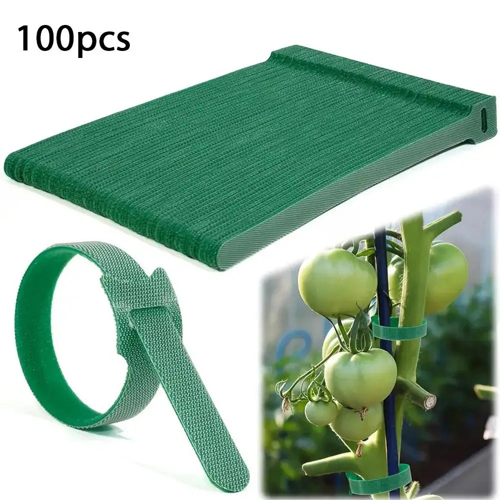 100pcs Reusable Nylon Plant Ties Adjustable Non-Slip Hook & Loop Fasteners For Climbing Plants Garden Support ﻿