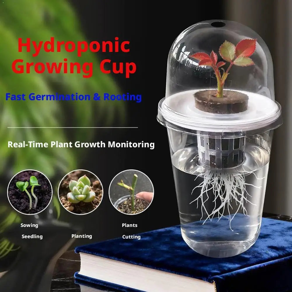 Plant Vegetable Seedling Hydroponic Planting Cup Transparent Plastic Flowerpot Visible Root System For Greenhouse Germination