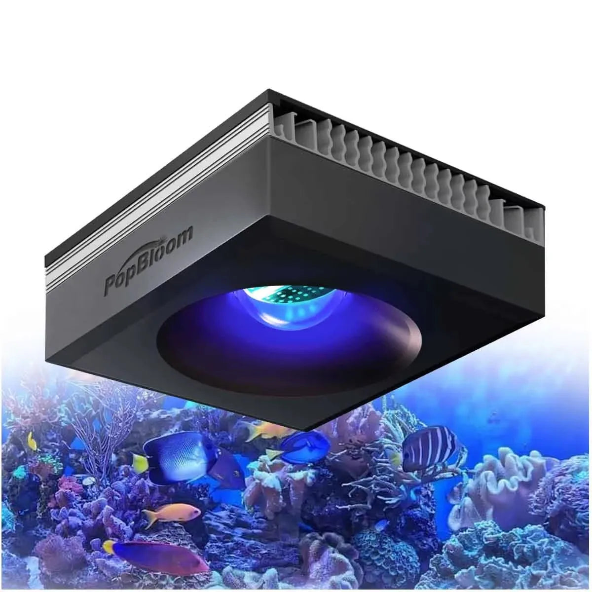 PopBloom RL90 WiFi Reef Aquarium Light 100W, Professional Marine Aquarium LED Full Spectrum for Reef Coral SPS/LPS Fish Tank LED