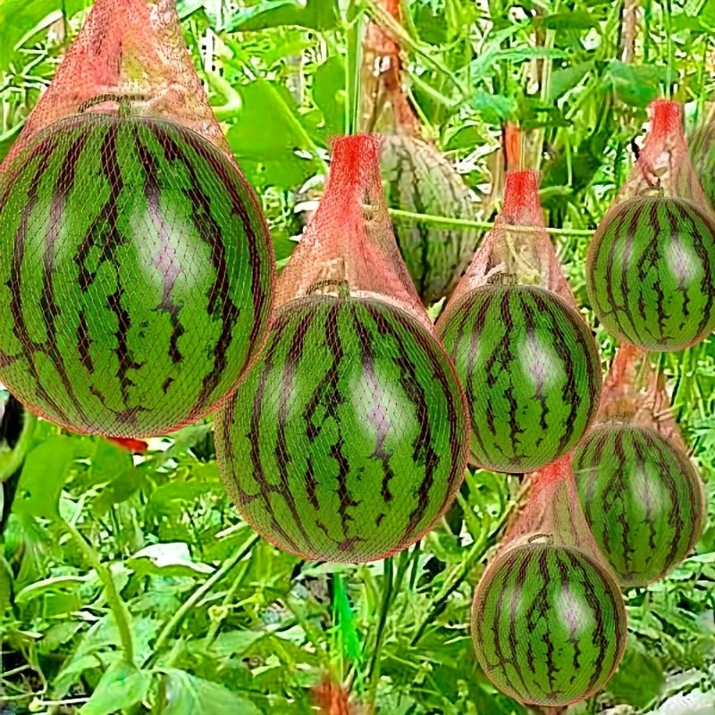 100 Pieces of  Heavy-Duty Plastic Garden Netting Suitable for Watermelon Vertical Planting and Hammock with Straps
