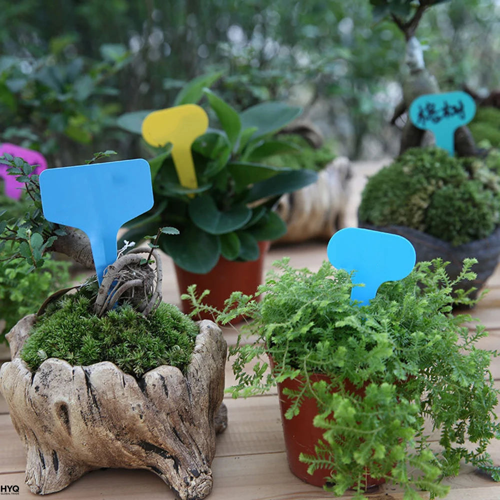 Étiquettes de jardin blanches 100 pièces, en plastique étanche, enfichable pour classification plantes