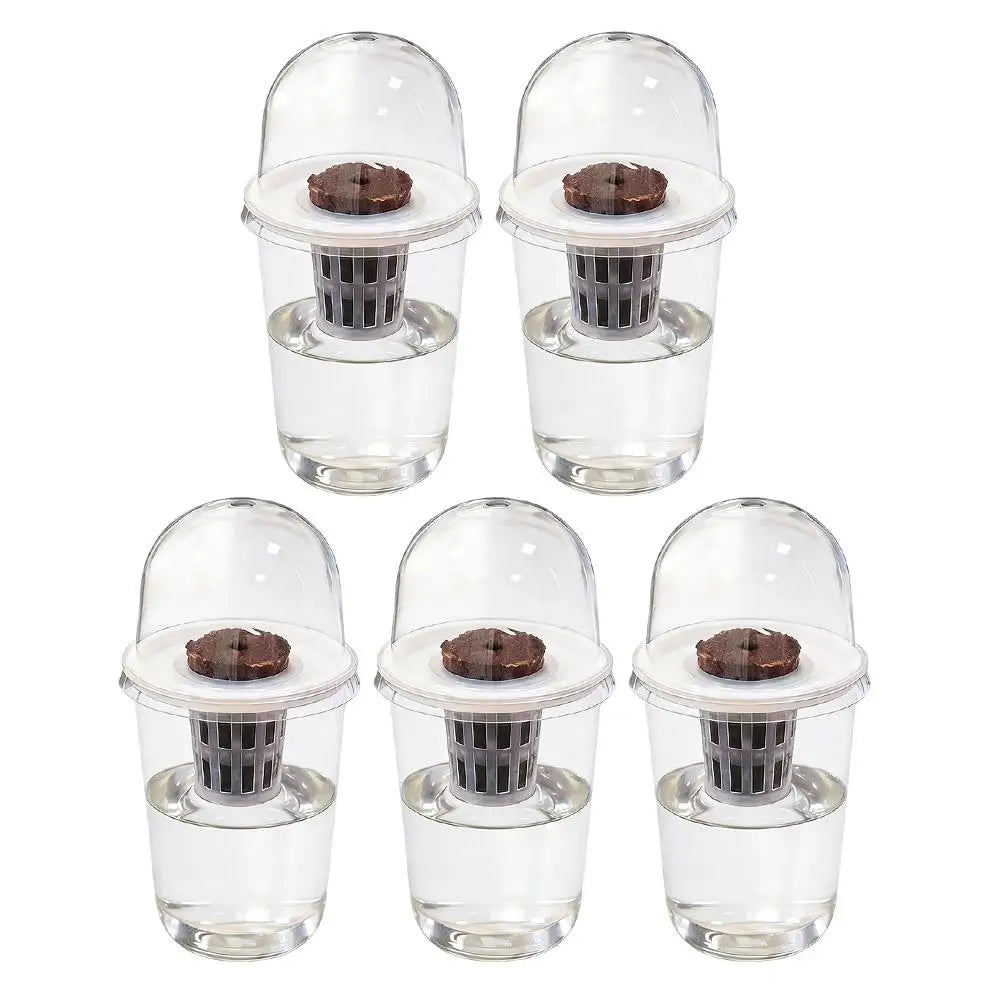 Plant Vegetable Seedling Hydroponic Planting Cup Transparent Plastic Flowerpot Visible Root System For Greenhouse Germination
