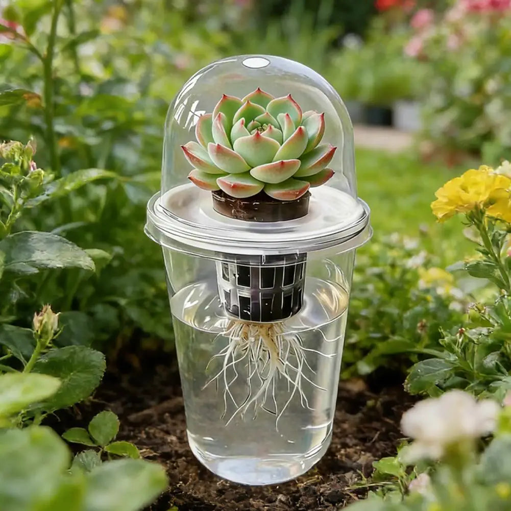 Plant Vegetable Seedling Hydroponic Planting Cup Transparent Plastic Flowerpot Visible Root System For Greenhouse Germination