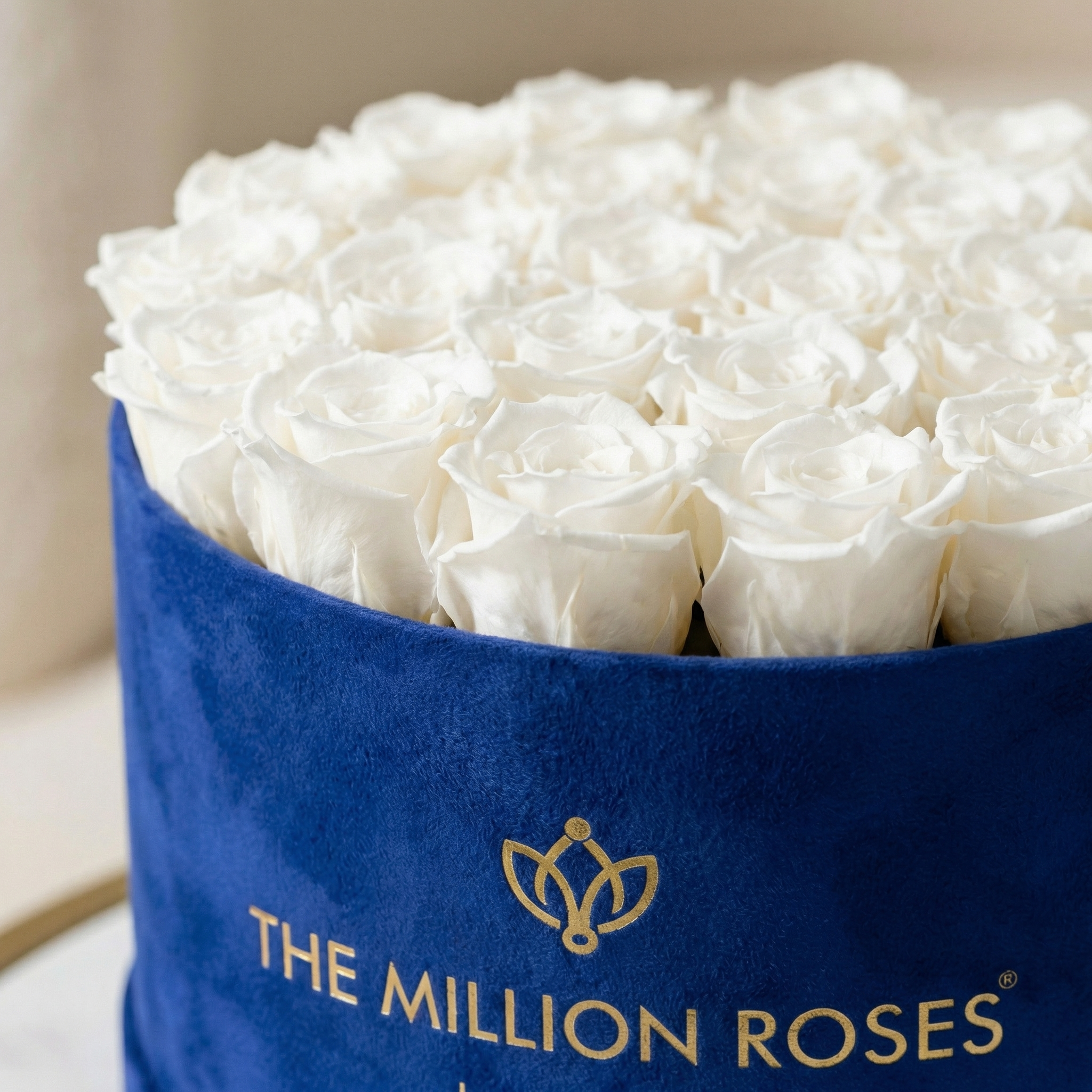 Supreme Royal Blue Suede Box | White Roses