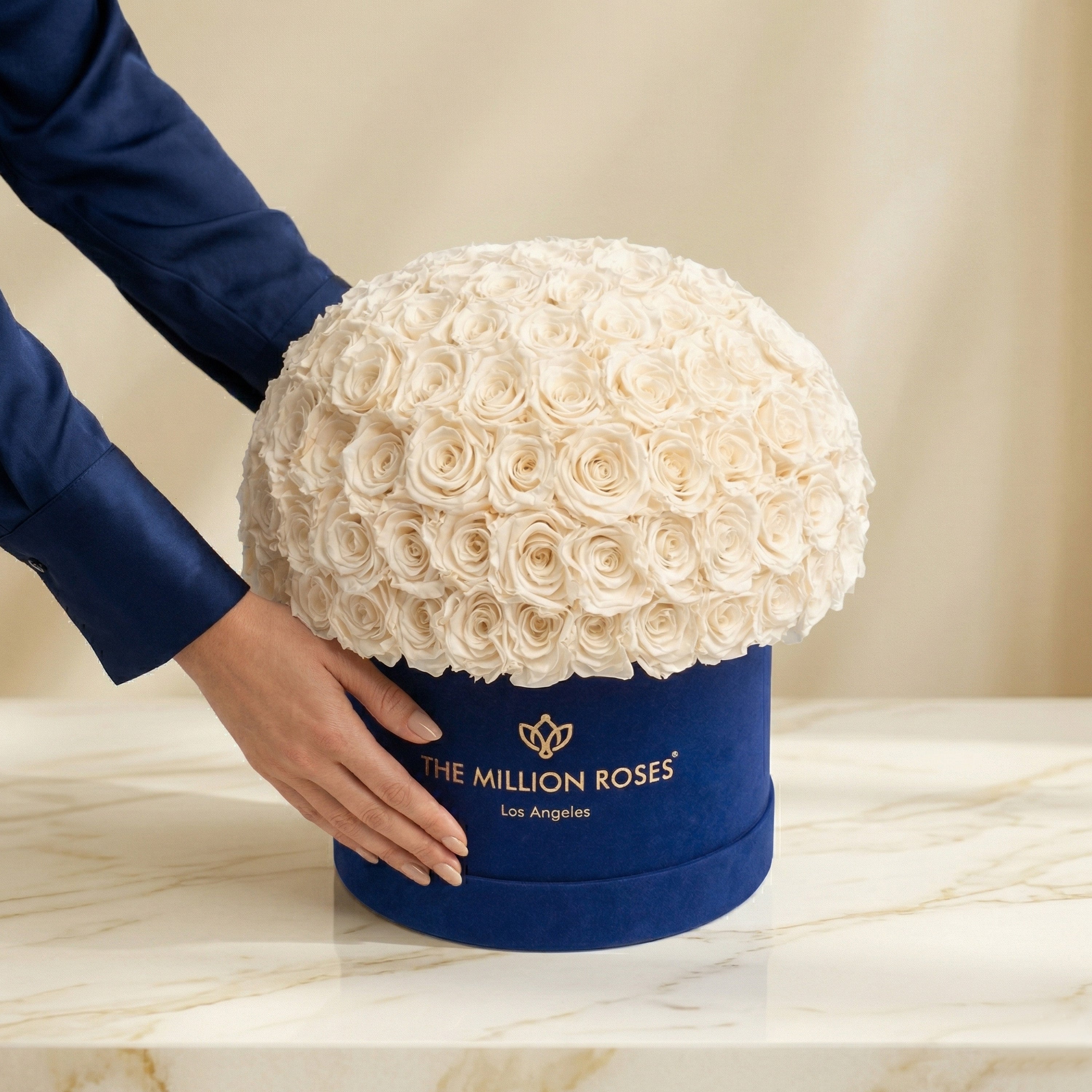 Supreme Royal Blue Suede Superdome Box | White Roses