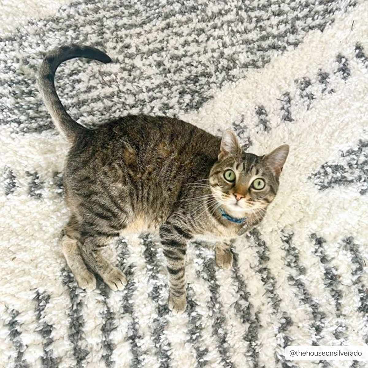 Trunding Runner Rug