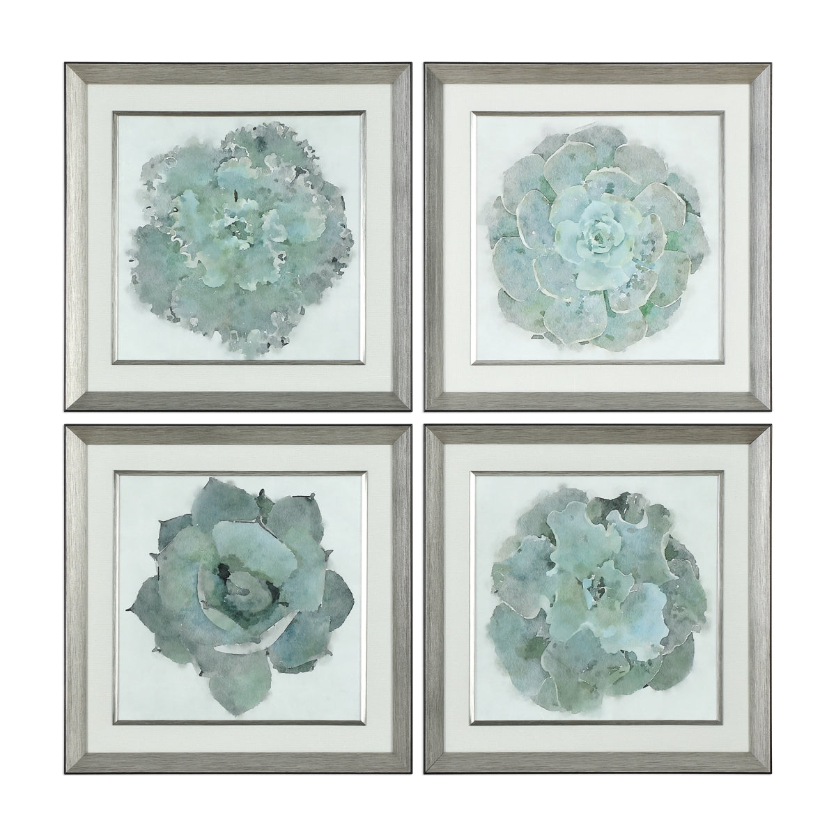 212 Main 33679 Natural Beauties Botanical Prints  Set of 4