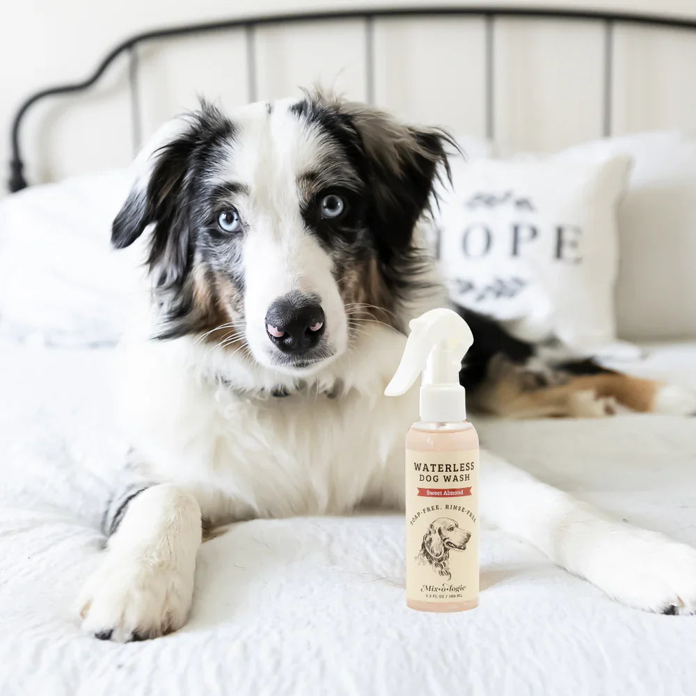 Sweet Almond Waterless Dog Wash Spray | Mixologie