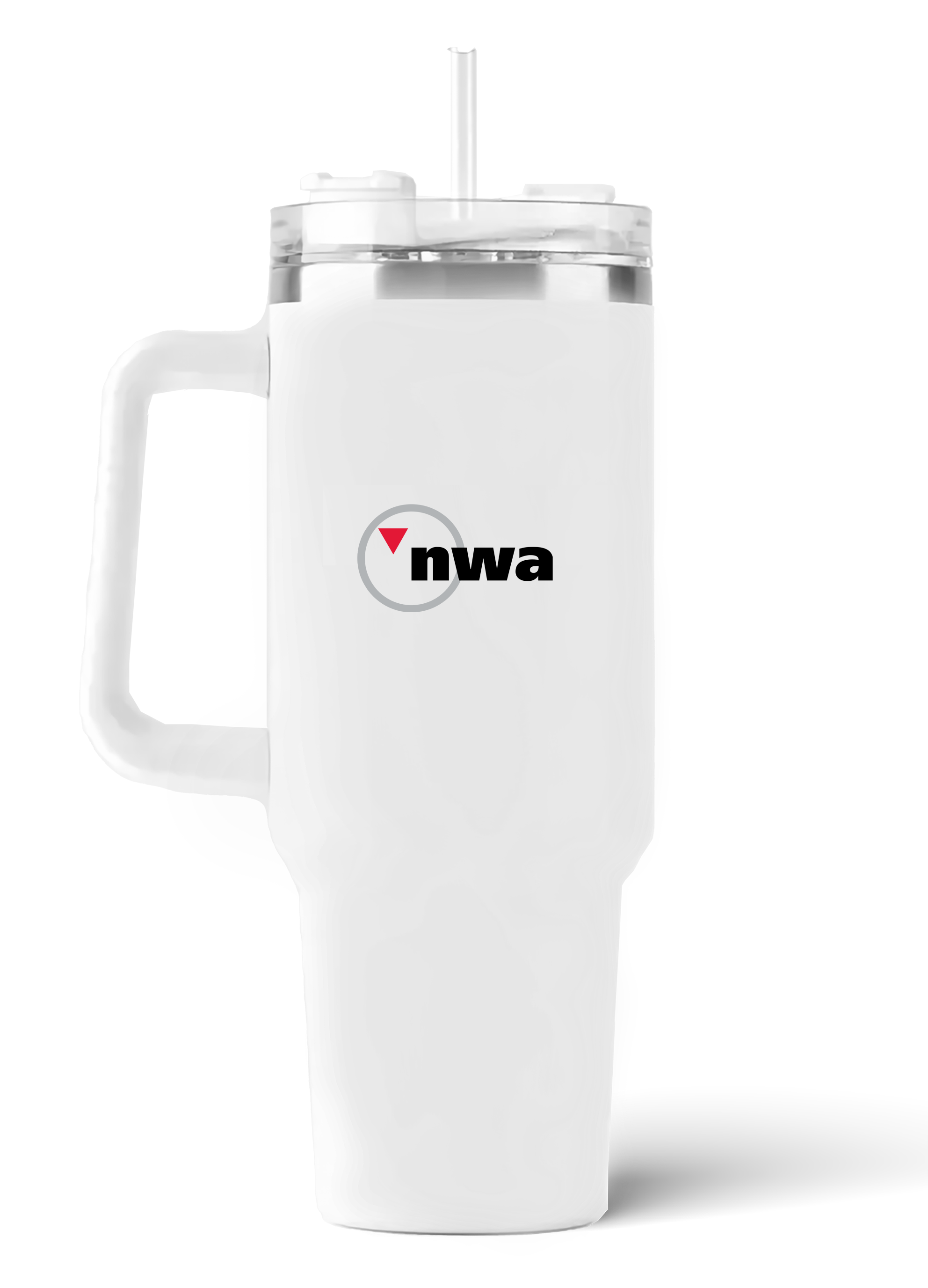 Northwest Airlines Airbus A319