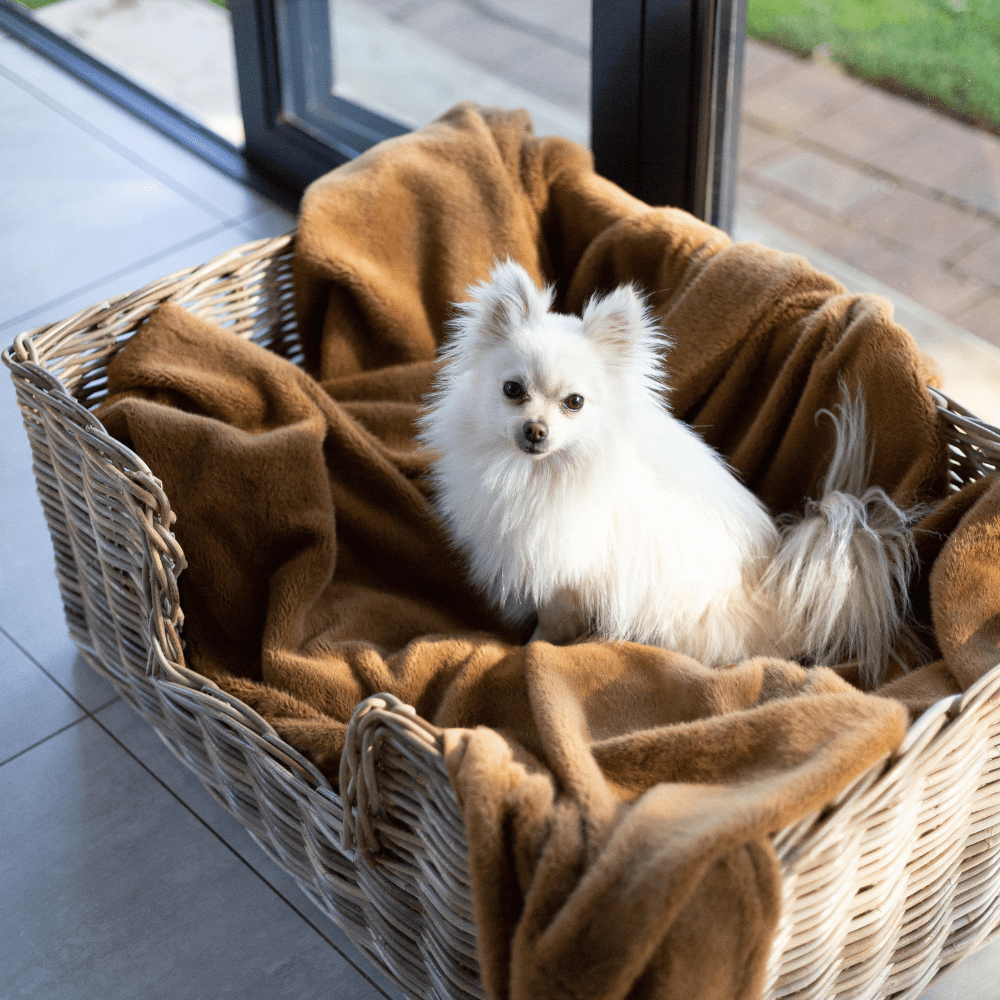 Rattan Pet Bed