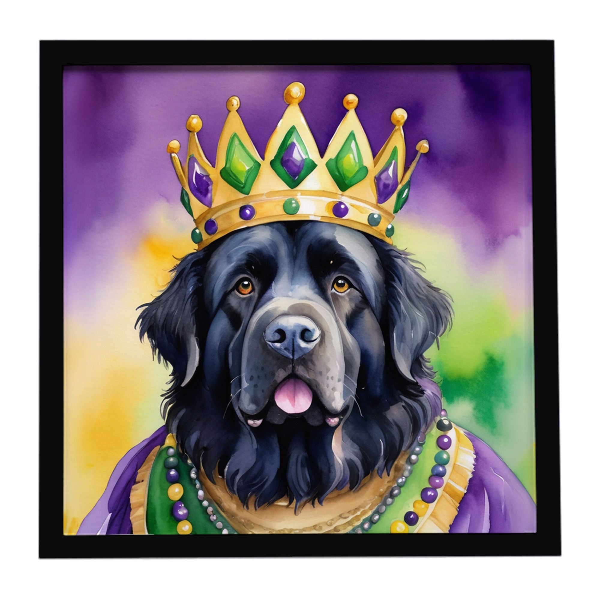 Newfoundland King of Mardi Gras Framed Metal Print Bathroom, Kitchen, Office, Home Decor Wall Art Ready to Hang, Square, 8X8