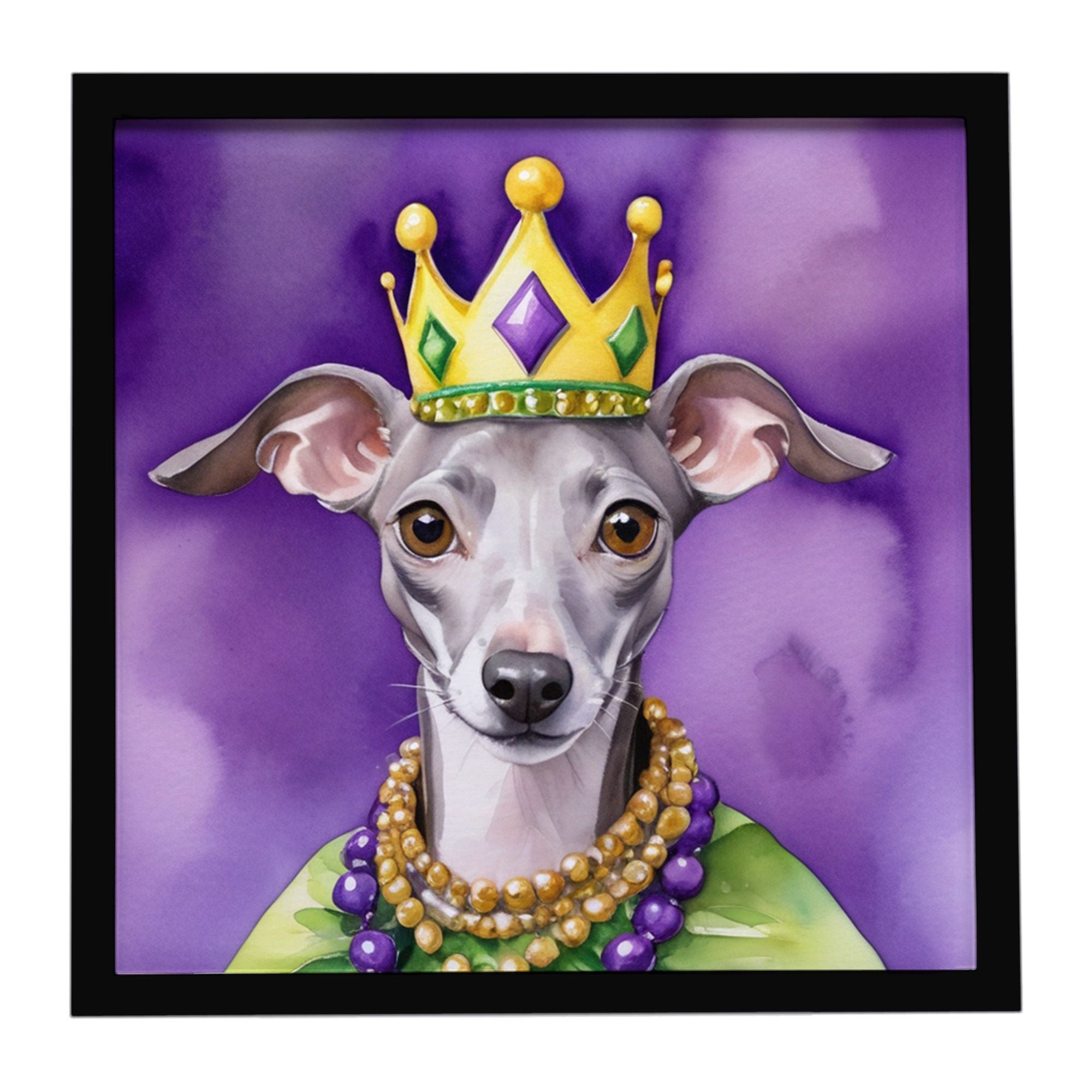 Italian Greyhound King of Mardi Gras Framed Metal Print Bathroom, Kitchen, Office, Home Decor Wall Art Ready to Hang, Square, 8X