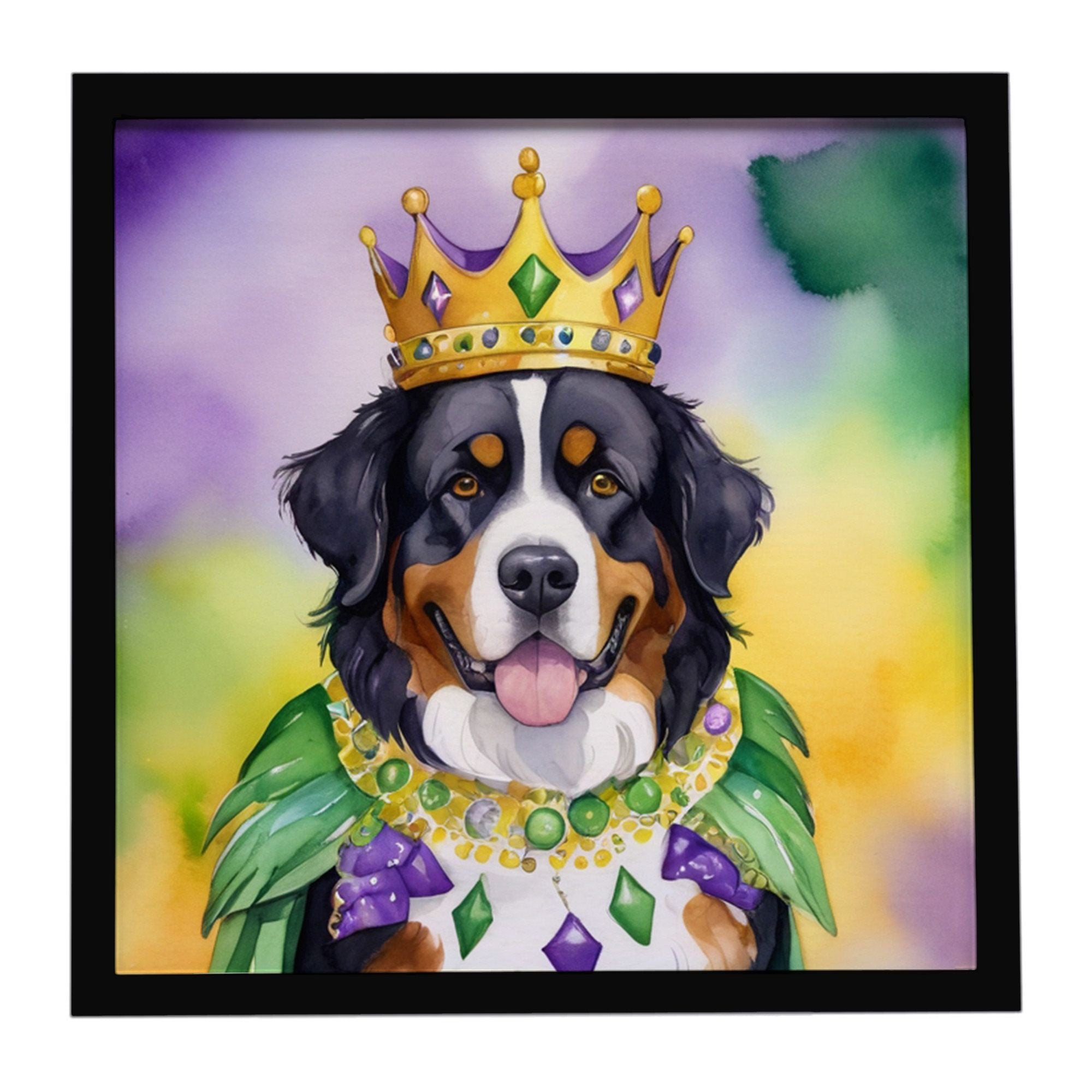 Bernese Mountain Dog King of Mardi Gras Framed Metal Print Bathroom, Kitchen, Office, Home Decor Wall Art Ready to Hang, Square,