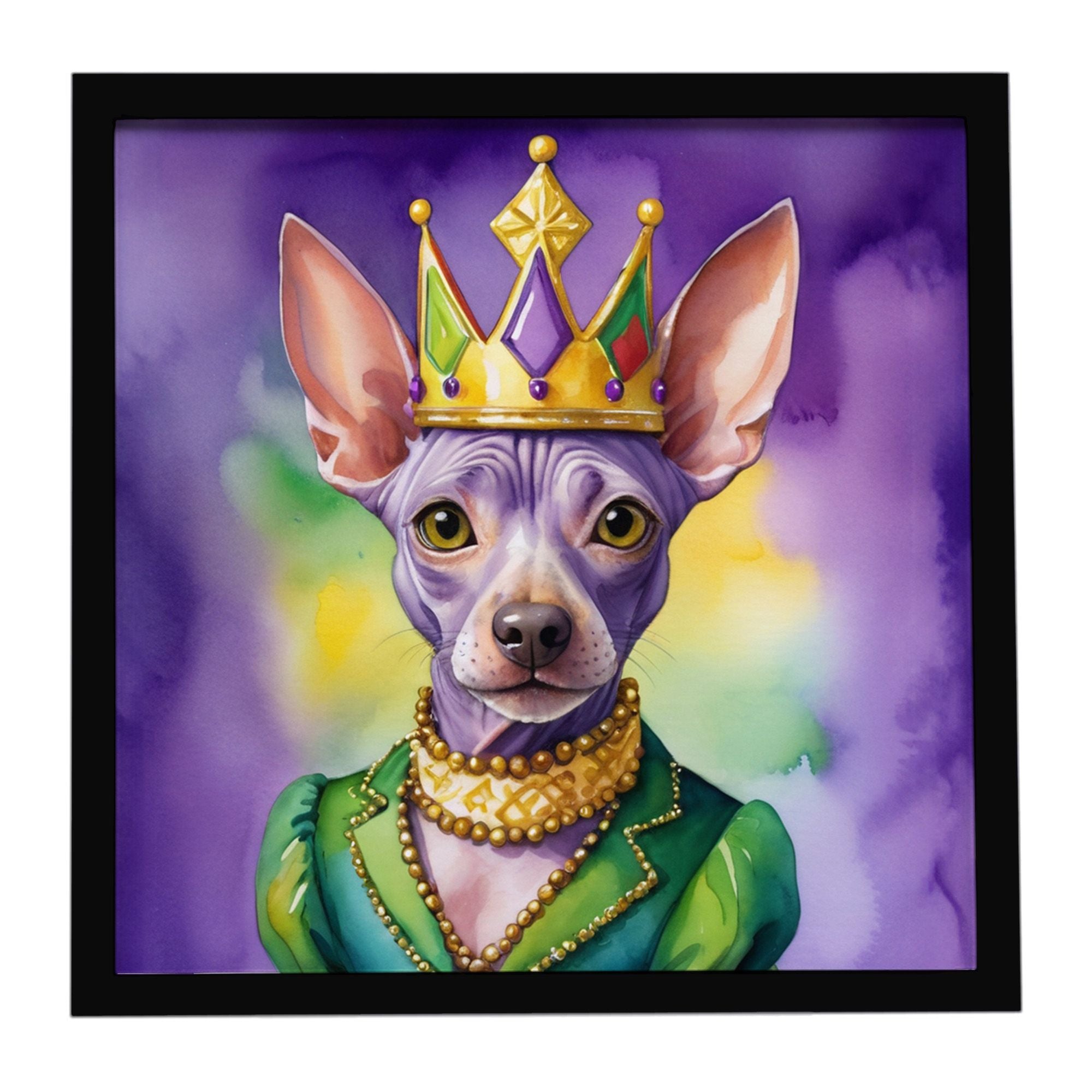 American Hairless Terrier King of Mardi Gras Framed Metal Print Bathroom, Kitchen, Office, Home Decor Wall Art Ready to Hang, Sq