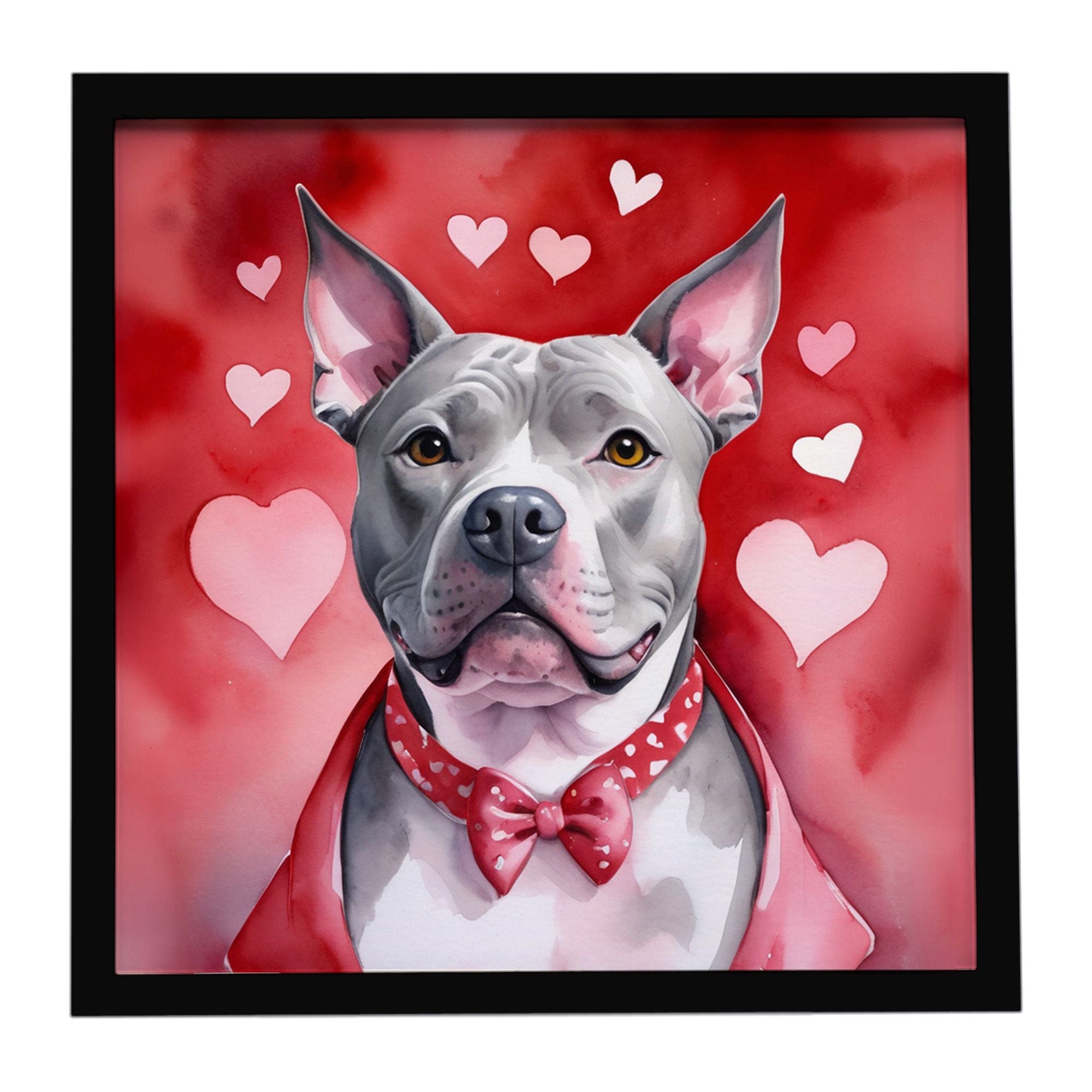 Pit Bull Terrier My Valentine Framed Metal Print Bathroom, Kitchen, Office, Home Decor Wall Art Ready to Hang, Square, 8X8
