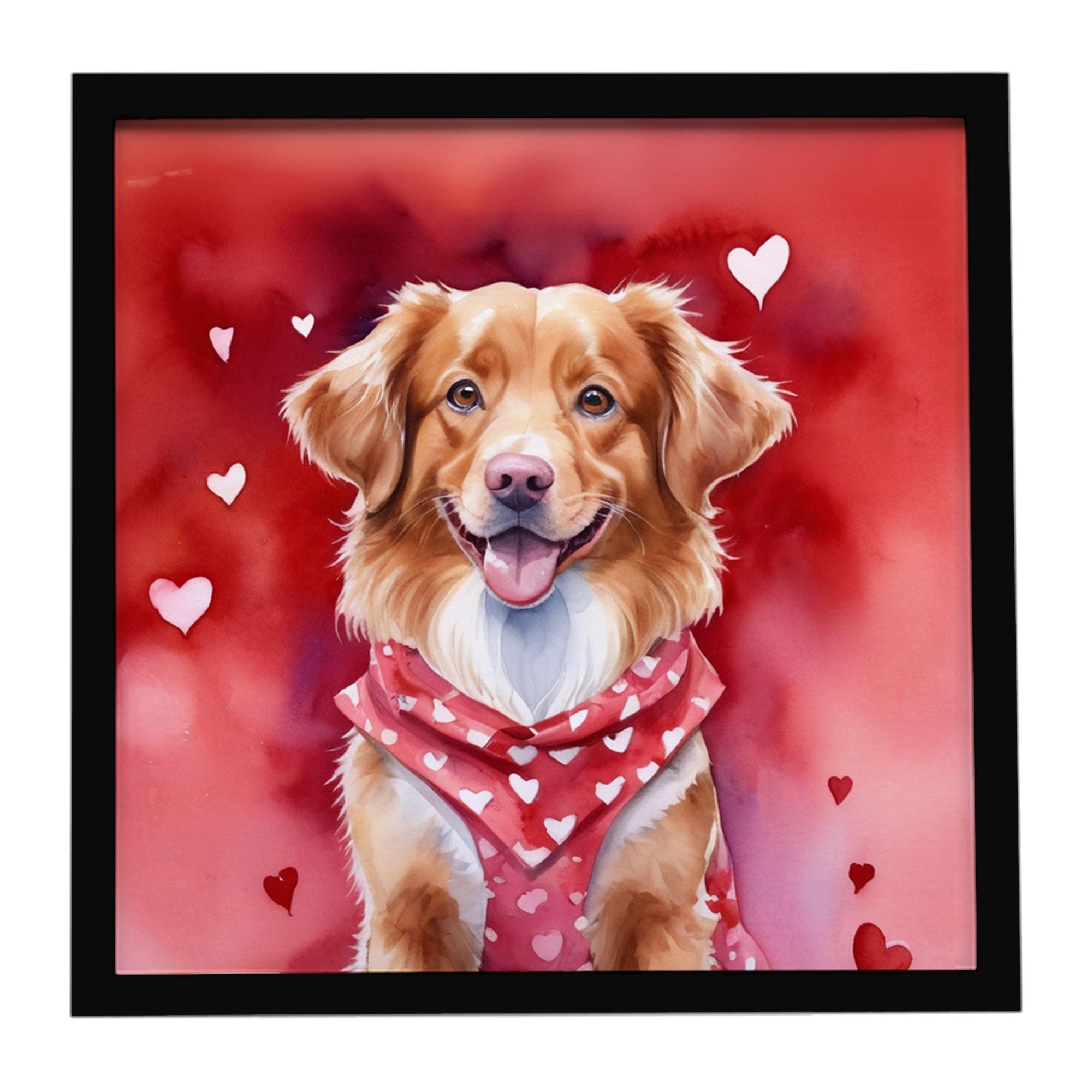 Nova Scotia Duck Tolling Retriever My Valentine Framed Metal Print Bathroom, Kitchen, Office, Home Decor Wall Art Ready to Hang,