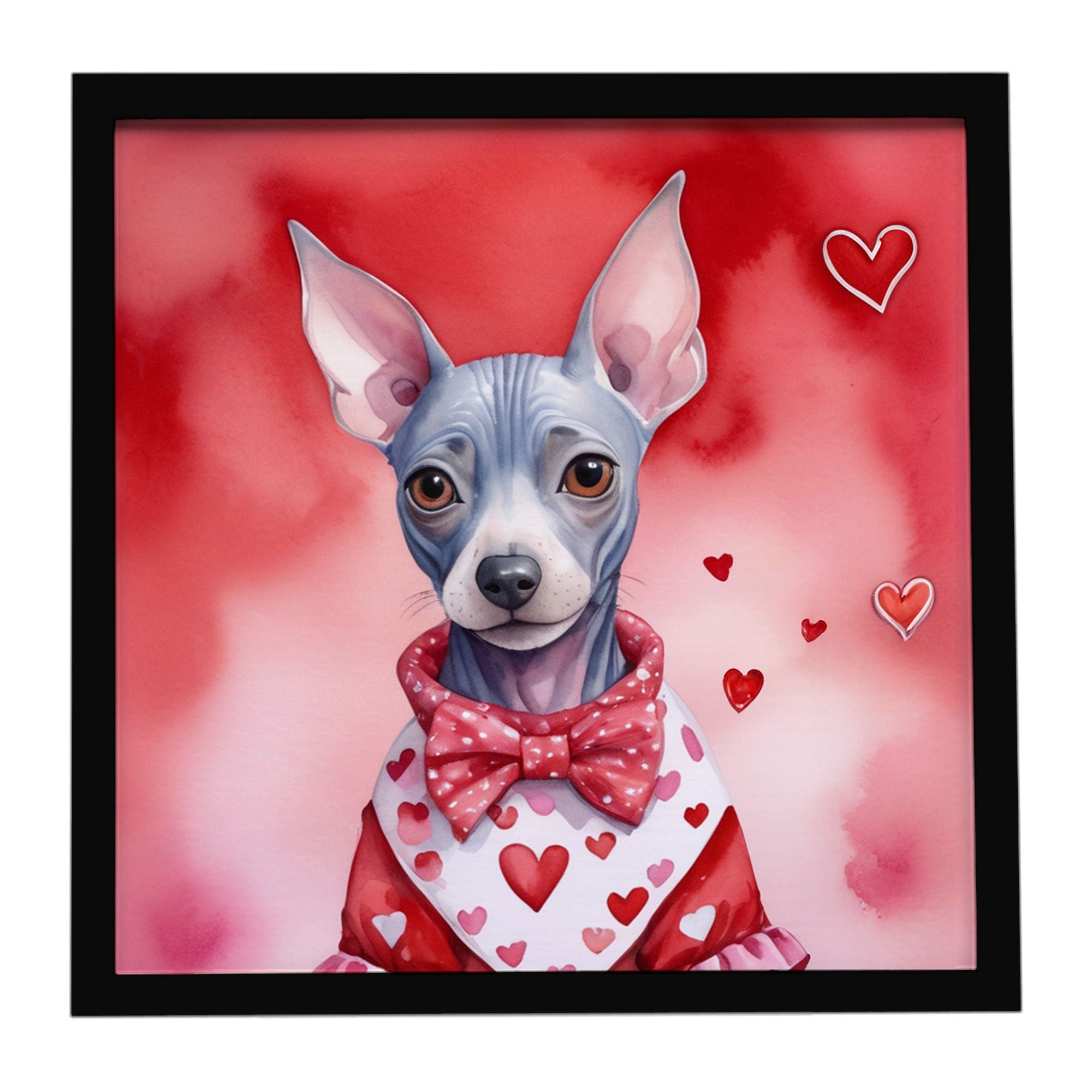 American Hairless Terrier My Valentine Framed Metal Print Bathroom, Kitchen, Office, Home Decor Wall Art Ready to Hang, Square, 