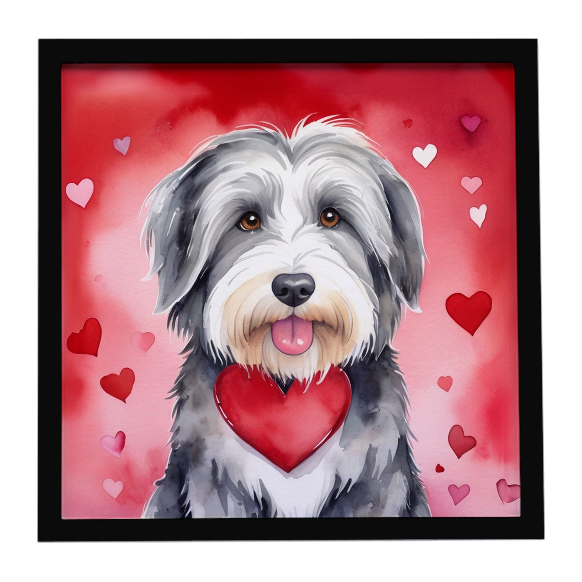 Bearded Collie My Valentine Framed Metal Print Bathroom, Kitchen, Office, Home Decor Wall Art Ready to Hang, Square, 8X8
