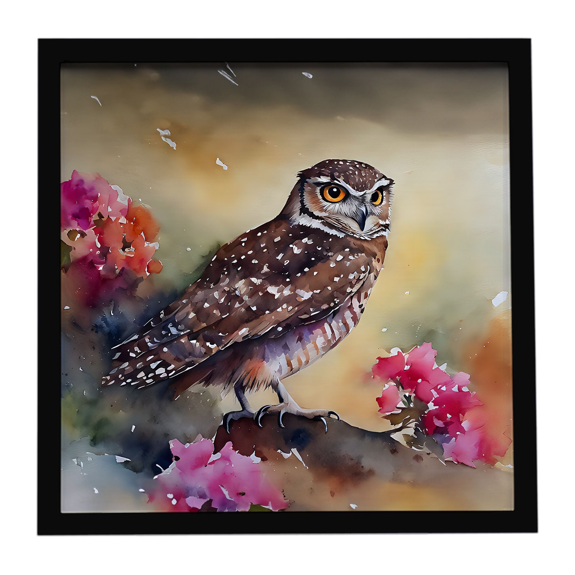 Burrowing Owl Framed Metal Print Bathroom, Kitchen, Office, Home Decor Wall Art Ready to Hang, Square, 8X8