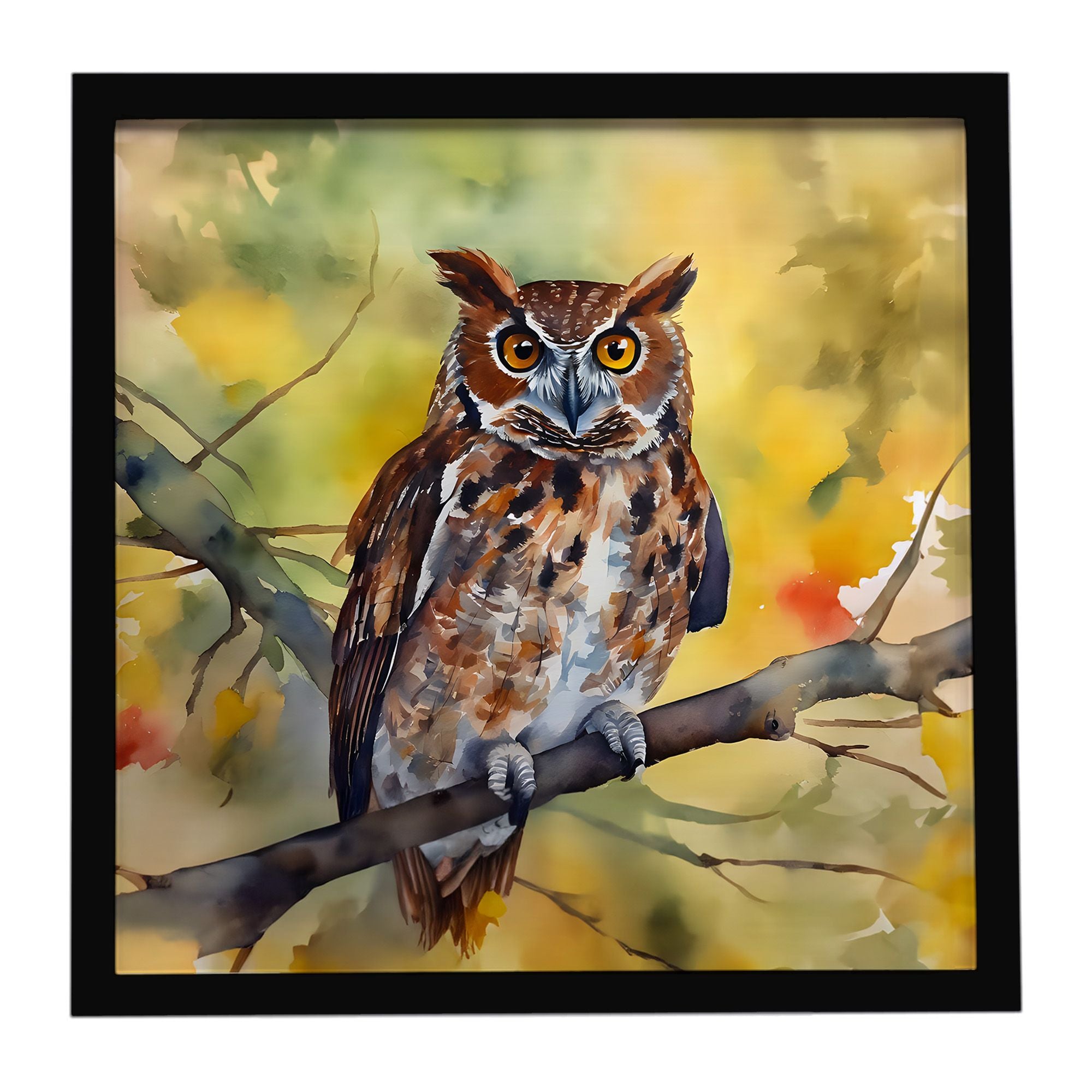 Eastern Screech Owl Framed Metal Print Bathroom, Kitchen, Office, Home Decor Wall Art Ready to Hang, Square, 8X8