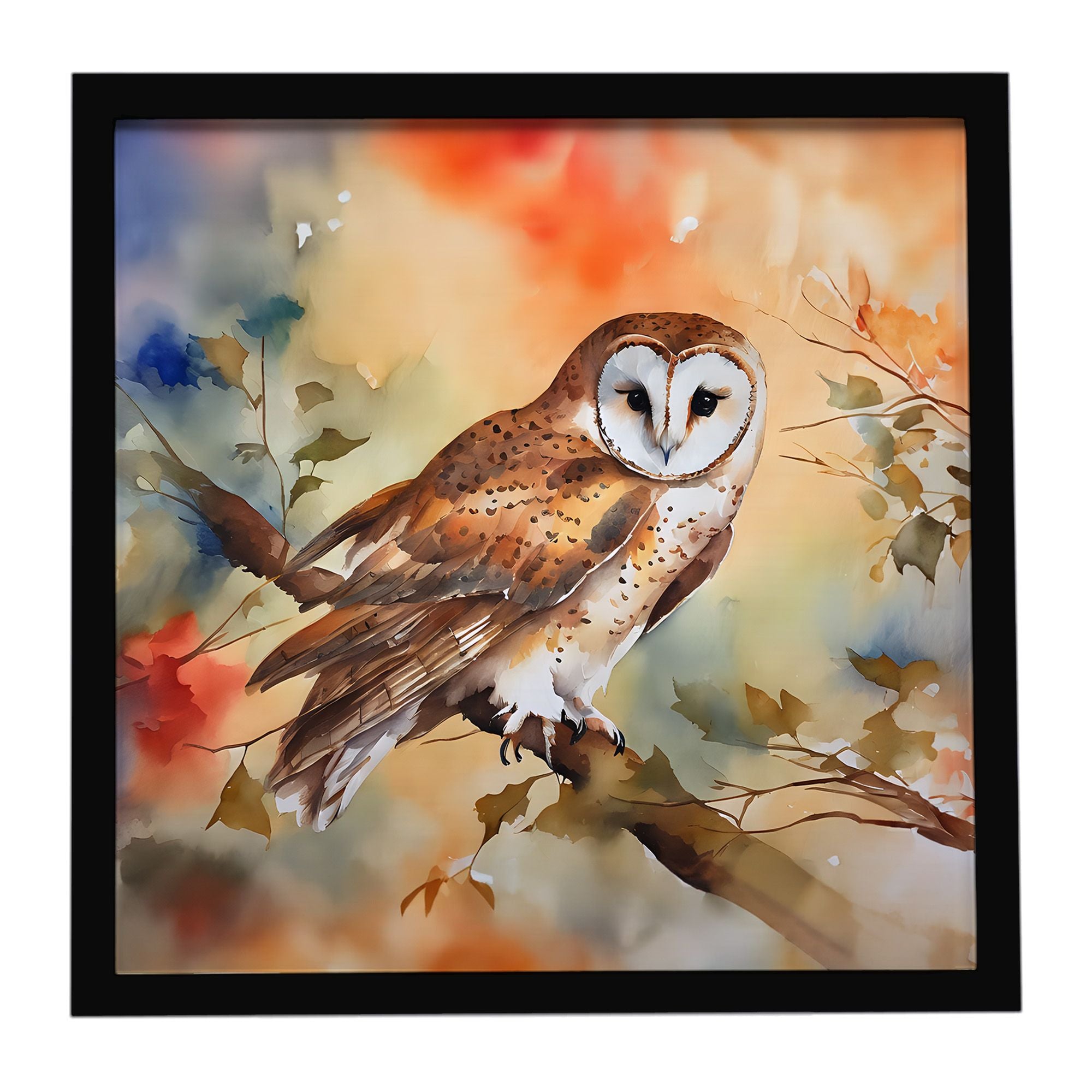 Barn Owl Framed Metal Print Bathroom, Kitchen, Office, Home Decor Wall Art Ready to Hang, Square, 8X8