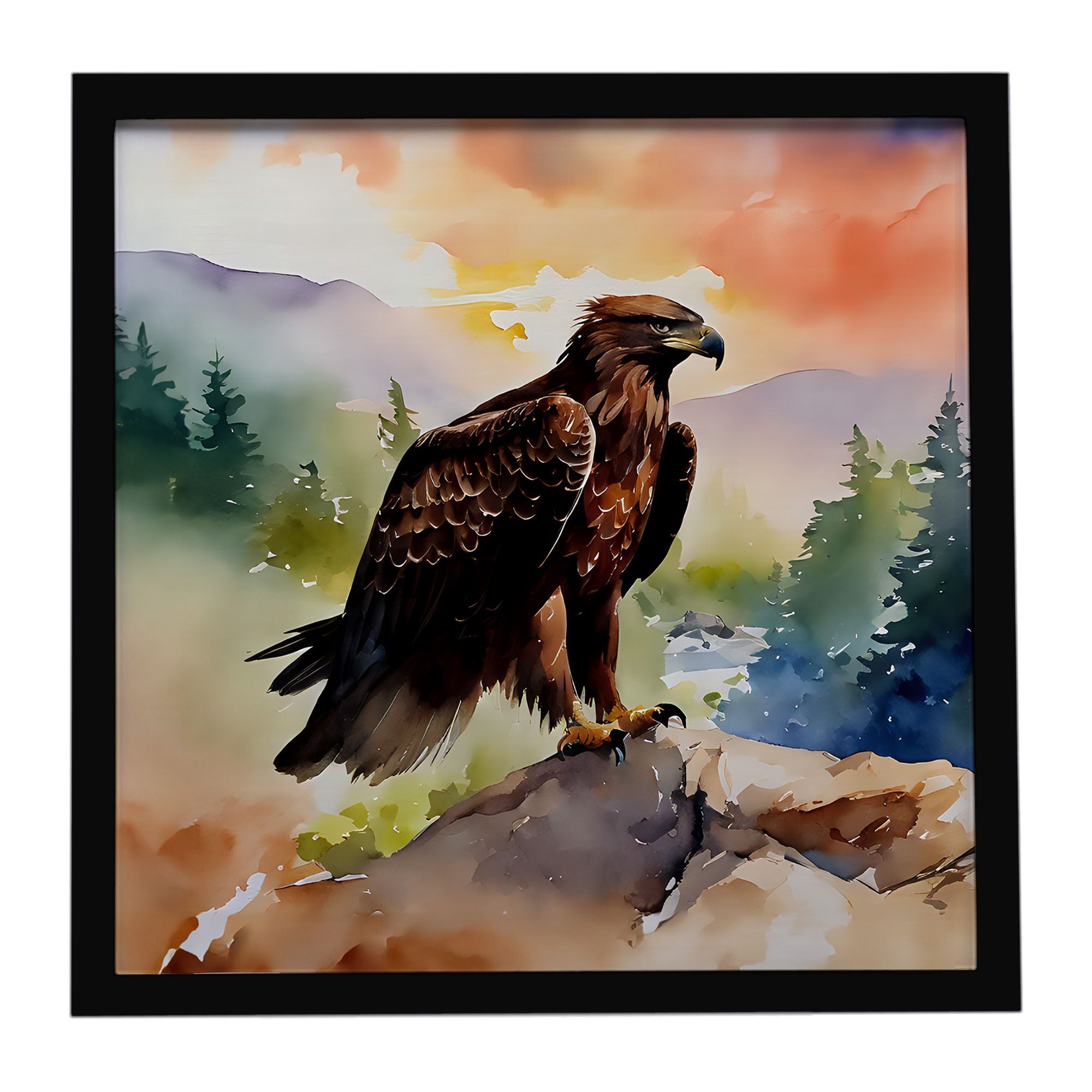 Eagle Framed Metal Print Bathroom, Kitchen, Office, Home Decor Wall Art Ready to Hang, Square, 8X8