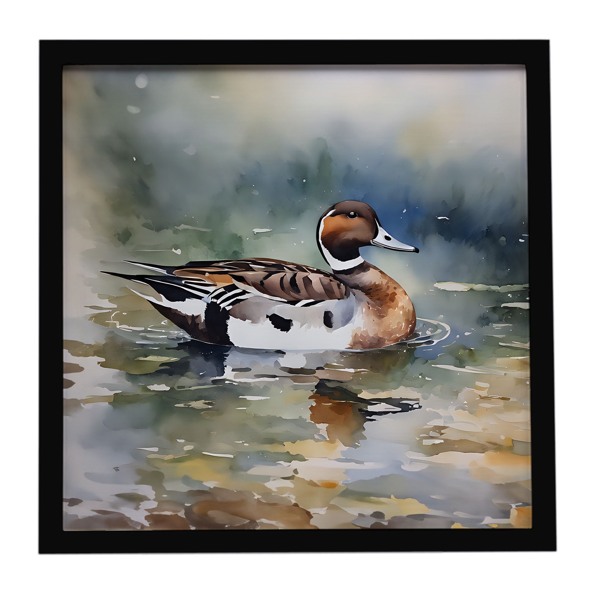 Northern Pintail Framed Metal Print Bathroom, Kitchen, Office, Home Decor Wall Art Ready to Hang, Square, 8X8