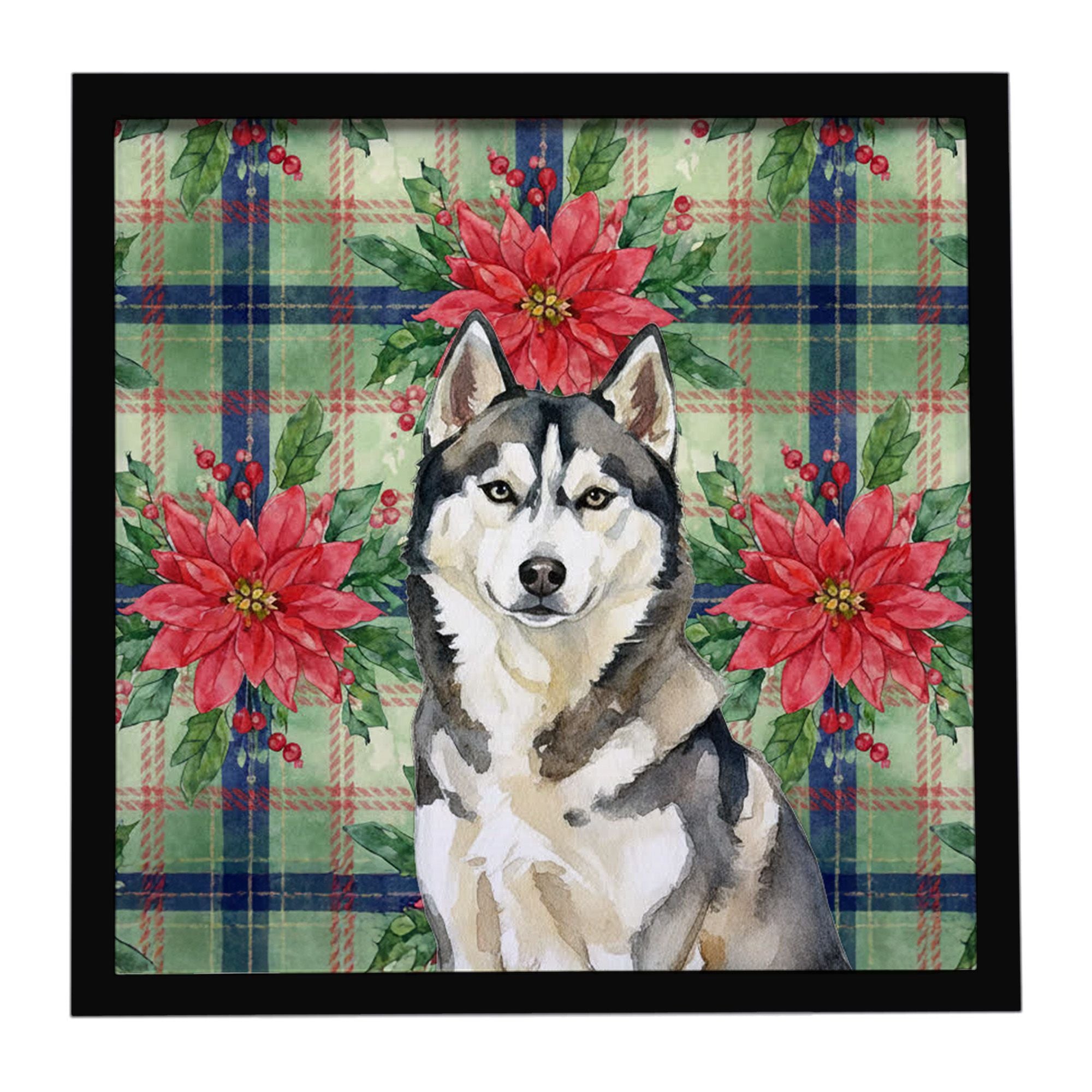 Agouti Siberian Husky Christmas PoinsettIas Framed Metal Print Bathroom, Kitchen, Office, Home Decor Wall Art Ready to Hang, Squ