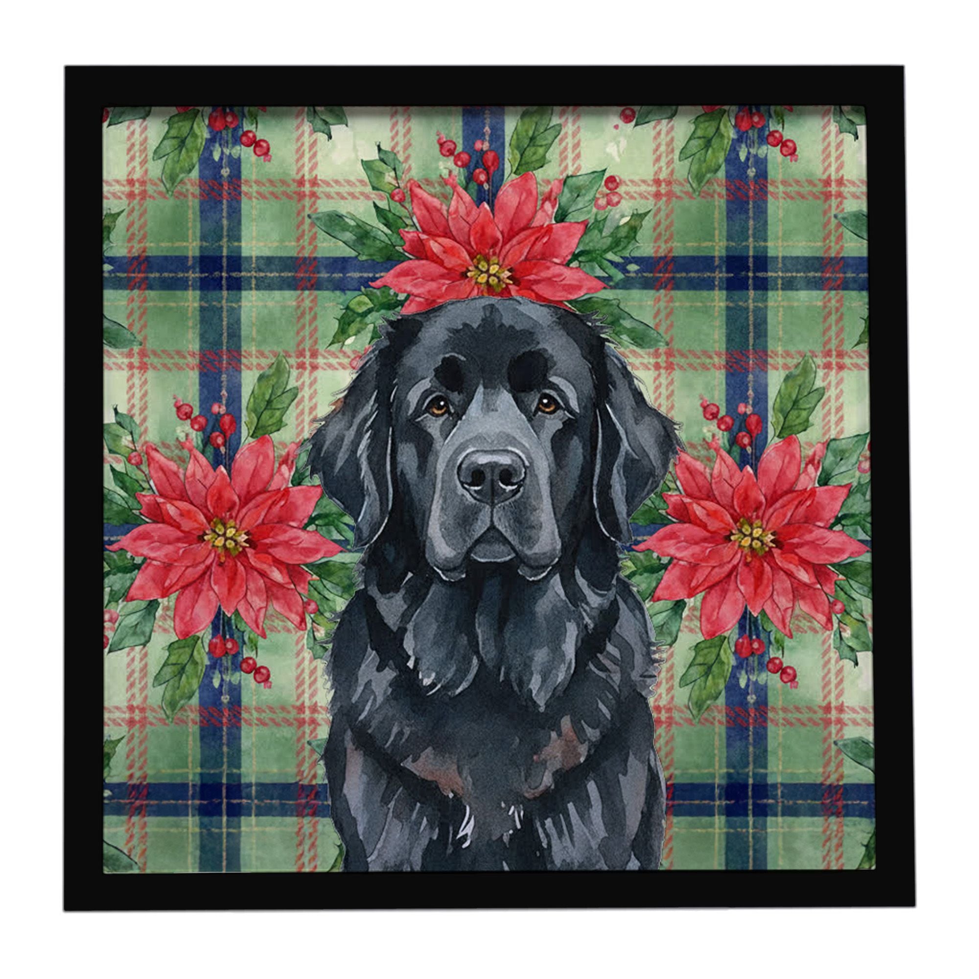 Black Newfoundland Christmas PoinsettIas Framed Metal Print Bathroom, Kitchen, Office, Home Decor Wall Art Ready to Hang, Square
