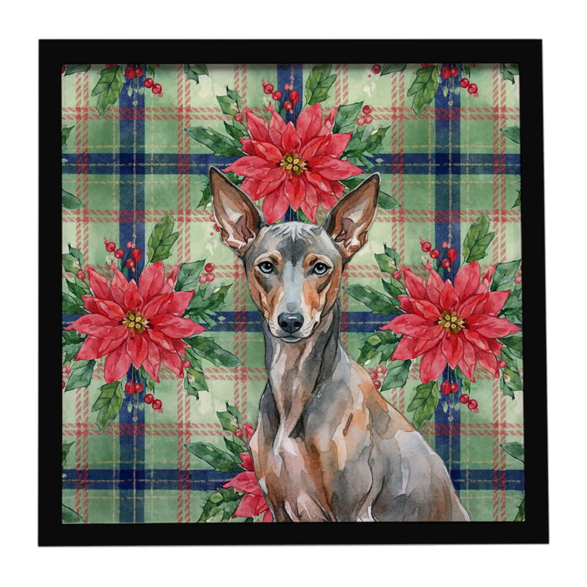 Xoloitzcuintli Christmas PoinsettIas Framed Metal Print Bathroom, Kitchen, Office, Home Decor Wall Art Ready to Hang, Square, 8X