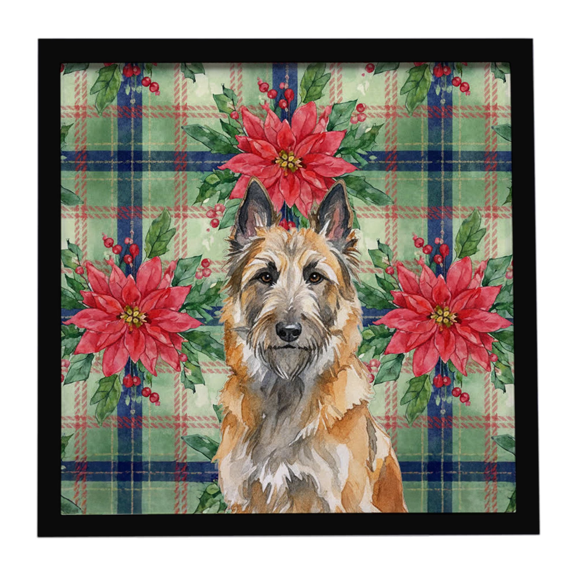 Belgian Laekenois Christmas PoinsettIas Framed Metal Print Bathroom, Kitchen, Office, Home Decor Wall Art Ready to Hang, Square,