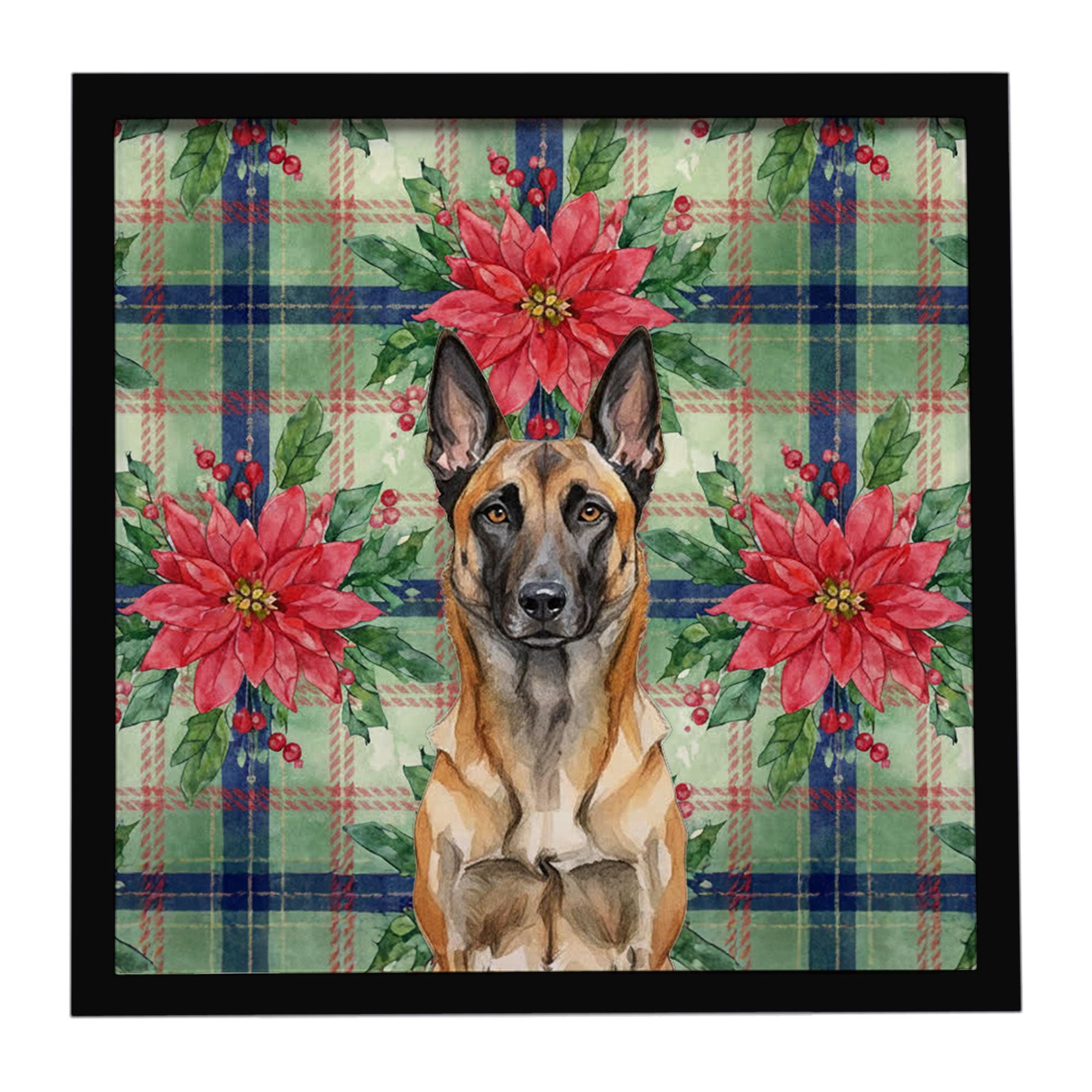 Belgian Malinois Christmas PoinsettIas Framed Metal Print Bathroom, Kitchen, Office, Home Decor Wall Art Ready to Hang, Square, 