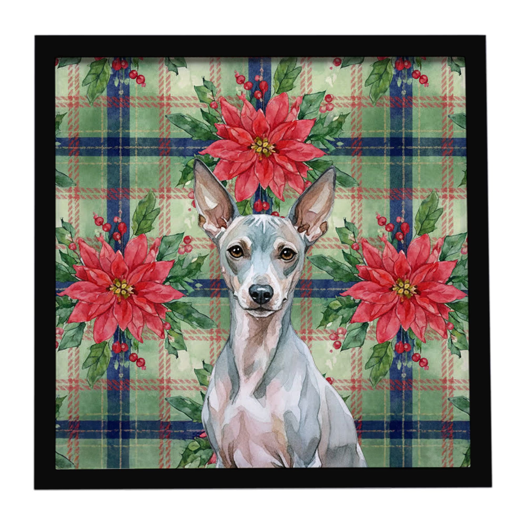 American Hairless Terrier Christmas PoinsettIas Framed Metal Print Bathroom, Kitchen, Office, Home Decor Wall Art Ready to Hang,