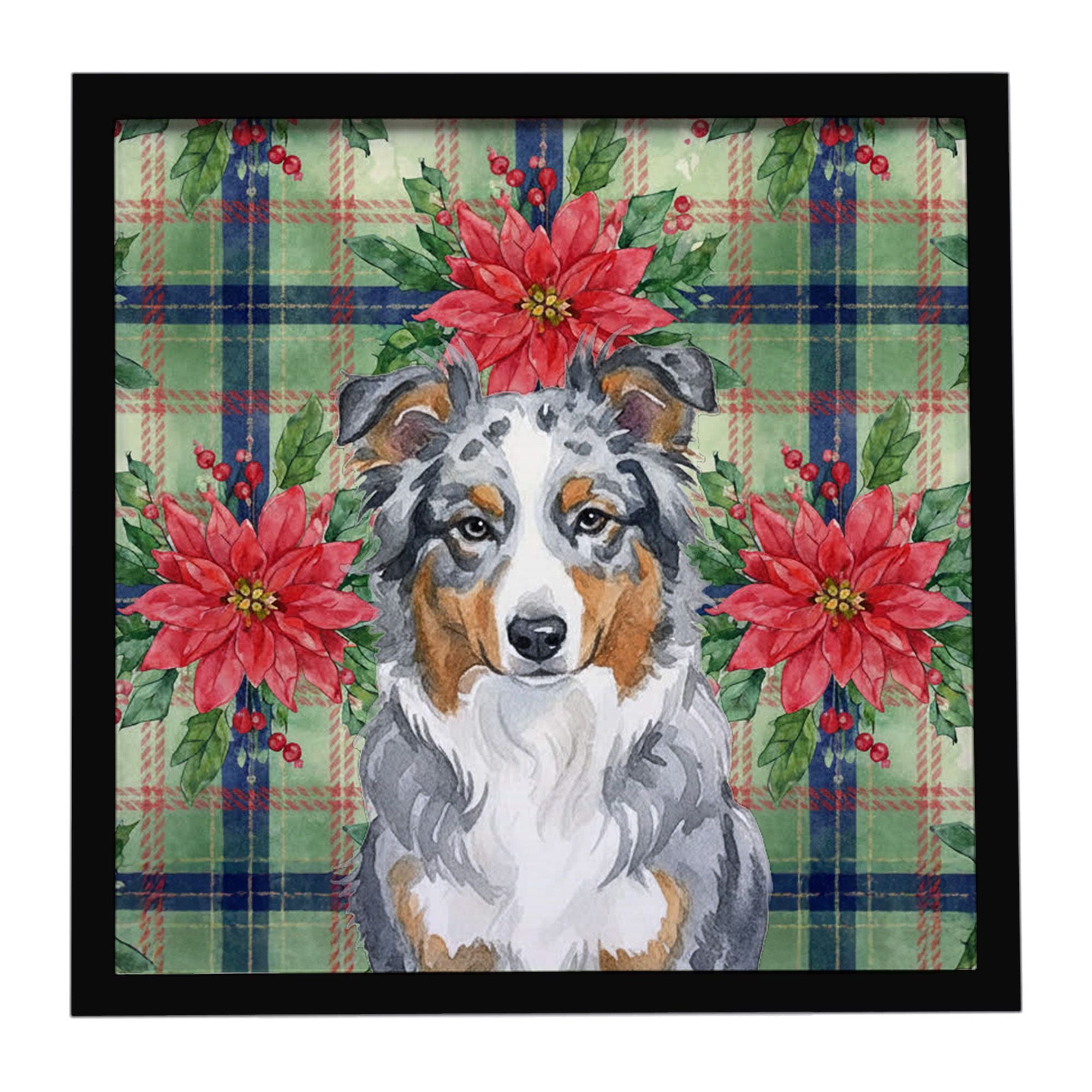 Blue Merle American Shepherd Christmas PoinsettIas Framed Metal Print Bathroom, Kitchen, Office, Home Decor Wall Art Ready to Ha