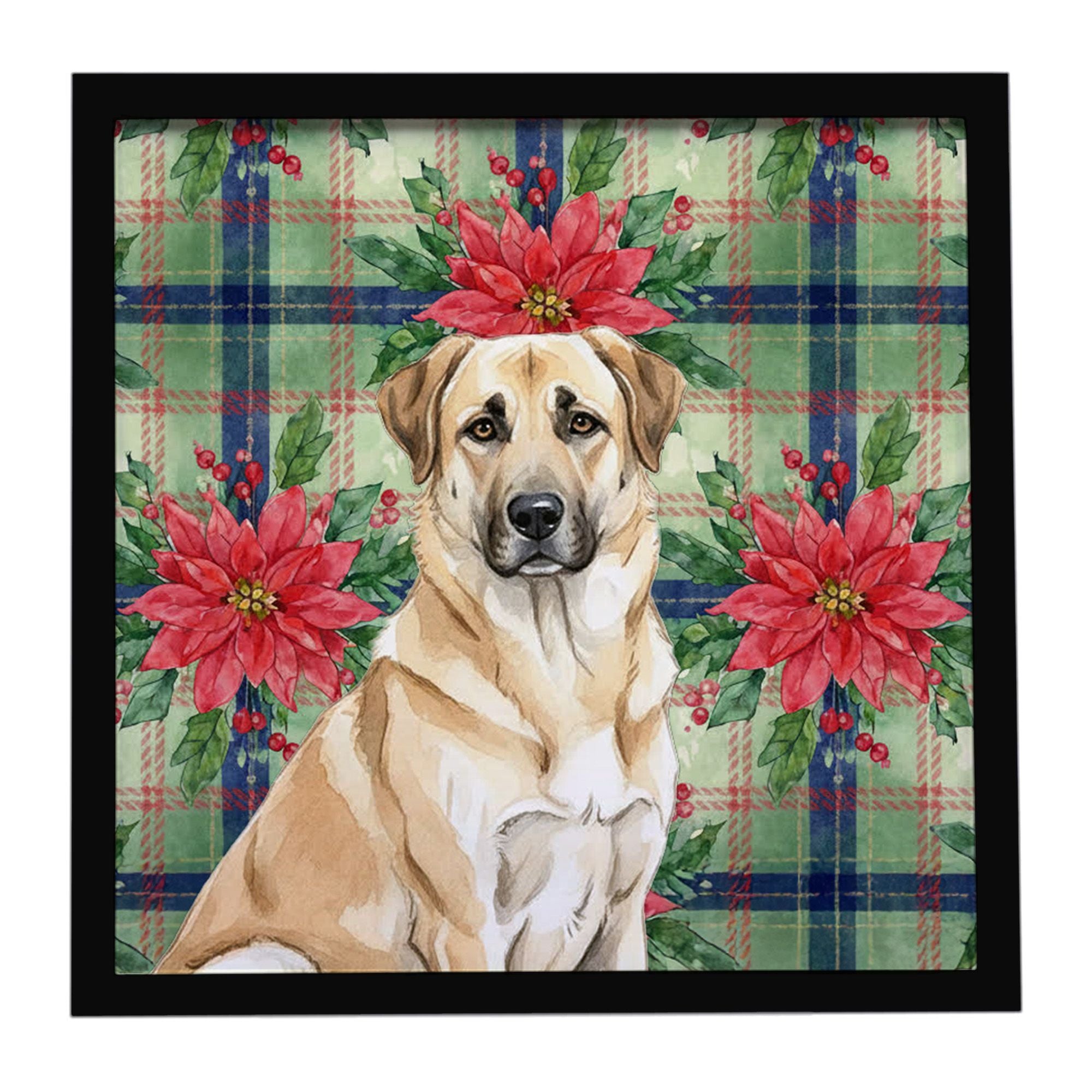 Anatolian Shepherd Dog Christmas PoinsettIas Framed Metal Print Bathroom, Kitchen, Office, Home Decor Wall Art Ready to Hang, Sq