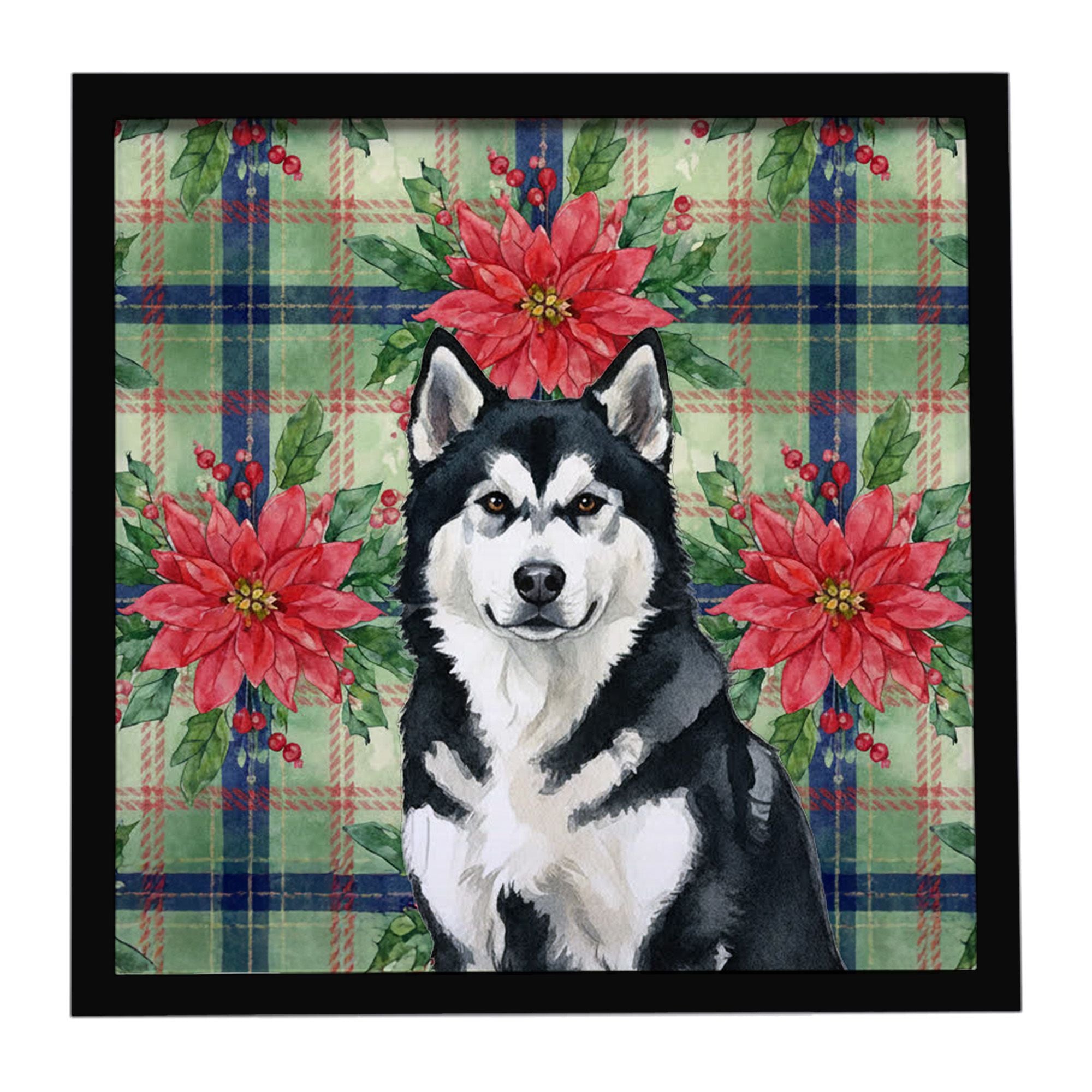 Black and White Alaskan Malamute Christmas PoinsettIas Framed Metal Print Bathroom, Kitchen, Office, Home Decor Wall Art Ready t